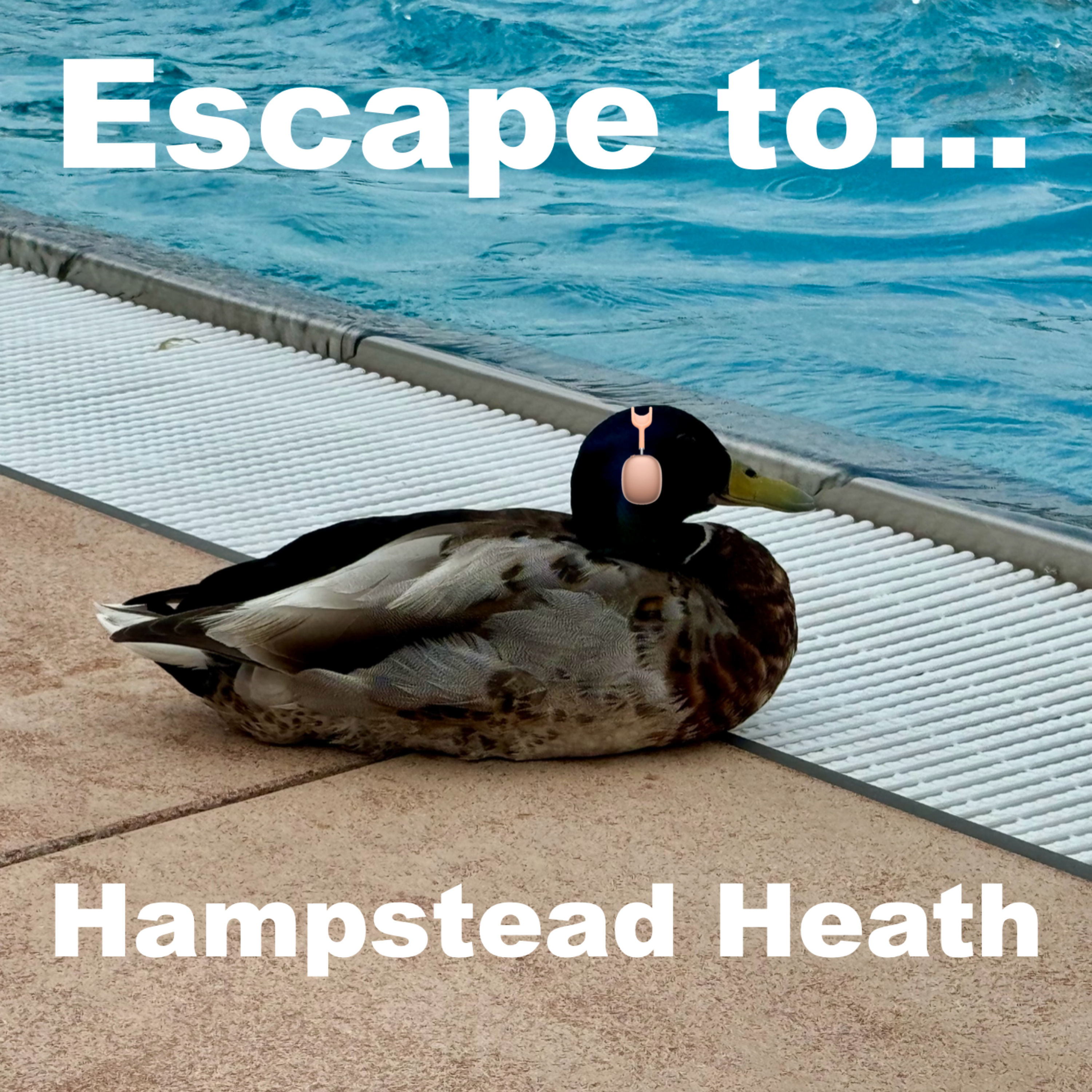 Escape to Hampstead Heath