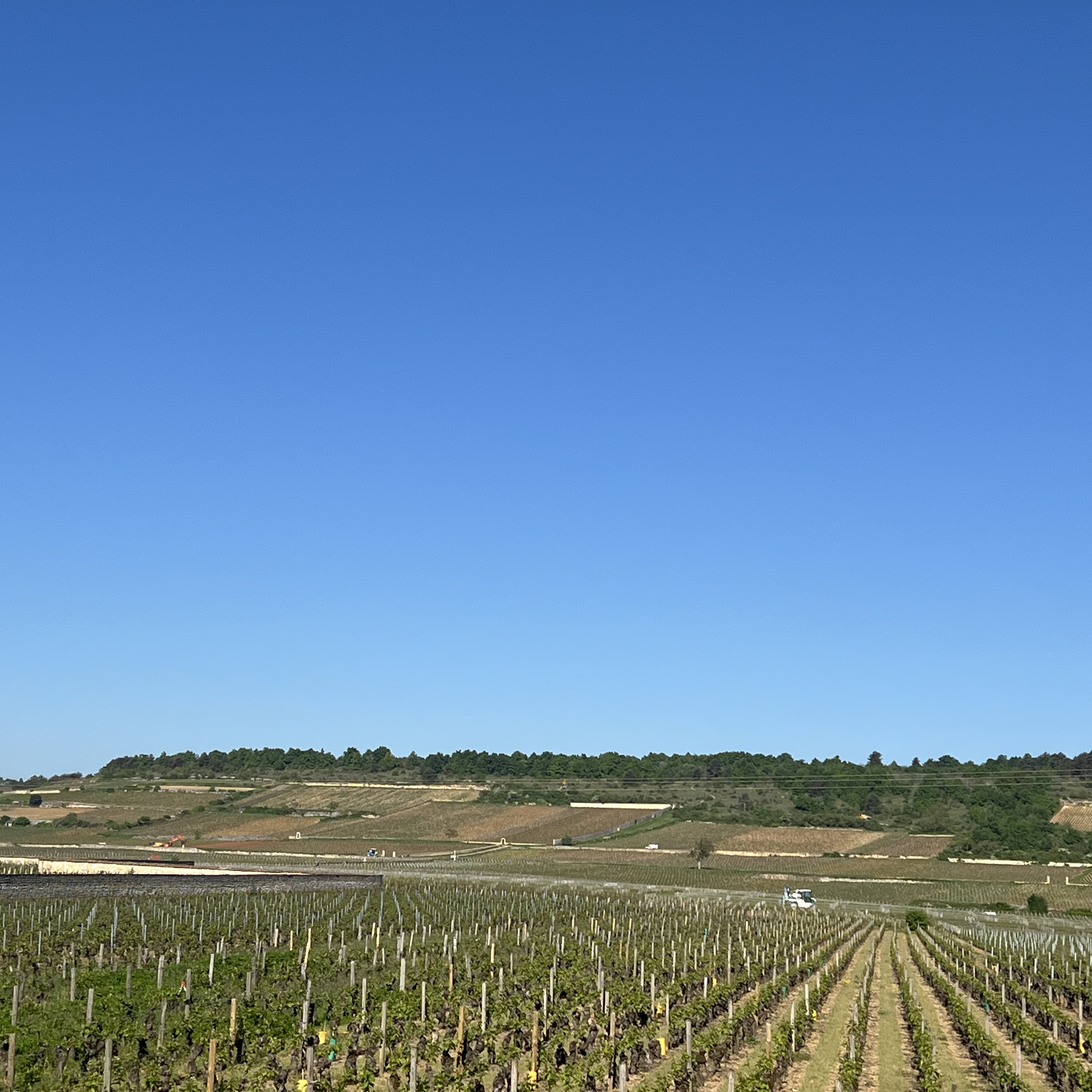 Global Routes: Your Personal Travel Companion