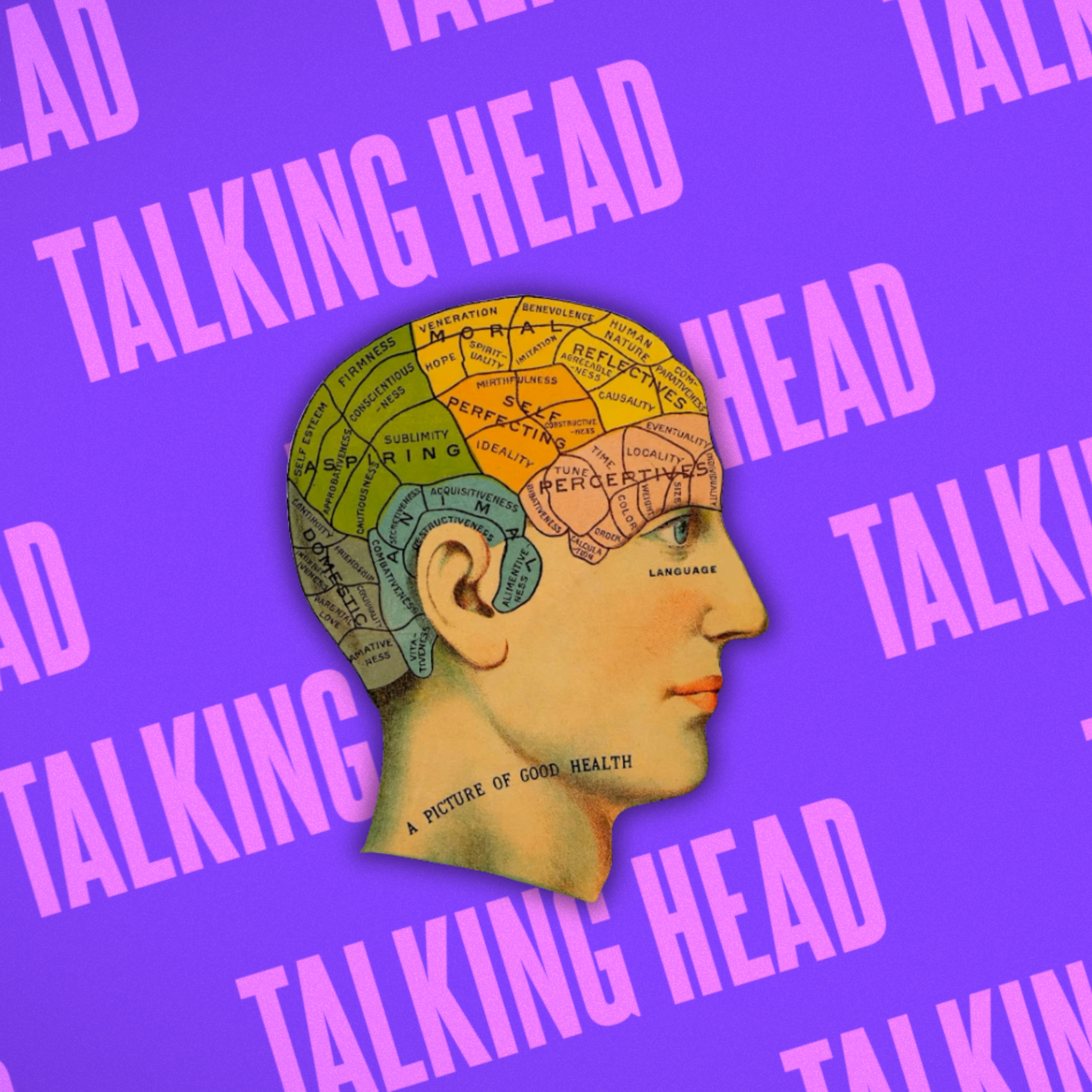 Talking Head Podcast with Ross Garrod cover art