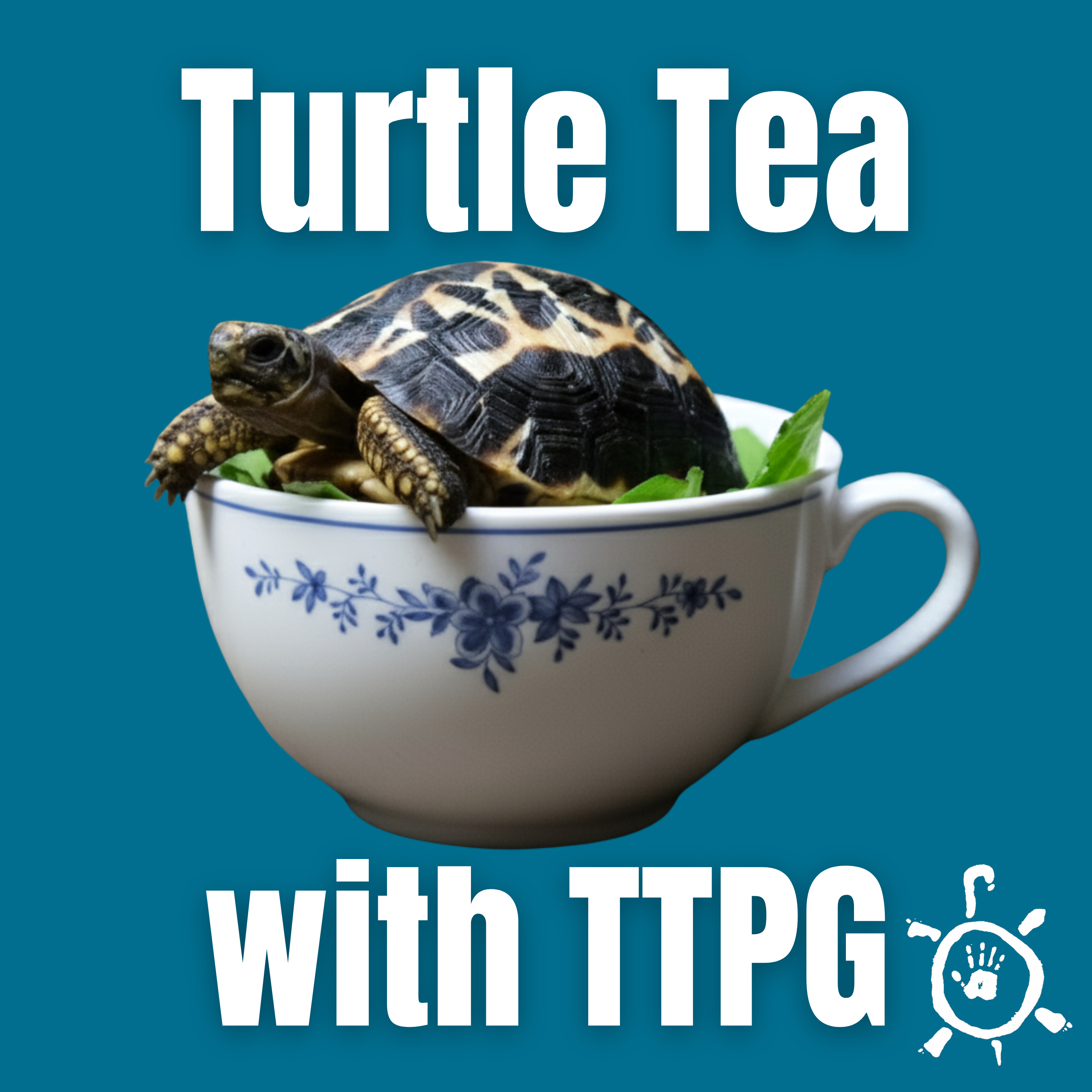 Turtle Tea with TTPG