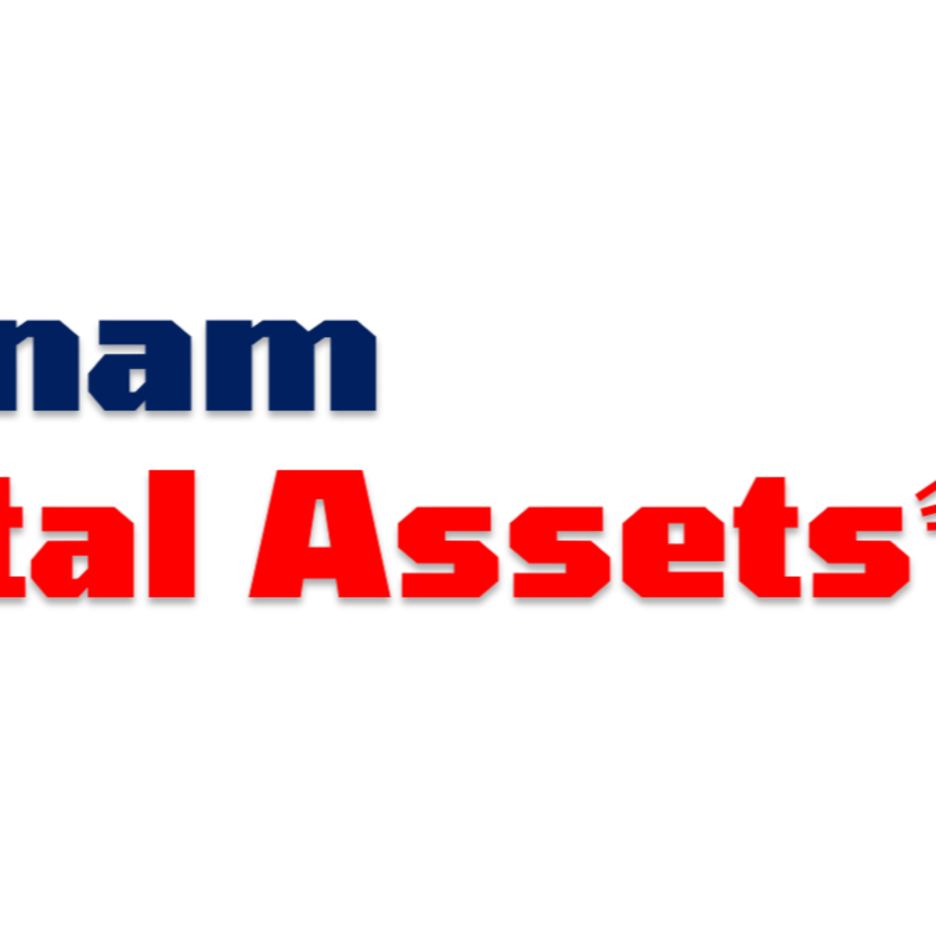 Vietnam Digital Asset