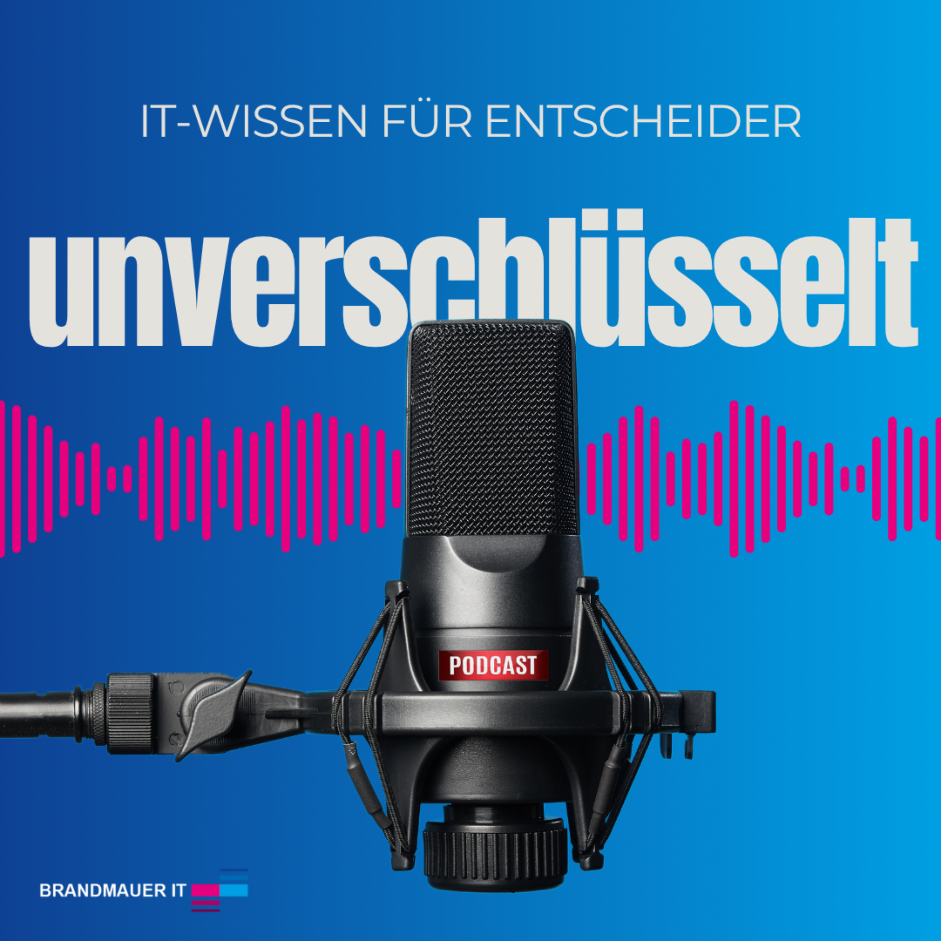 Unverschlüsselt - IT-Wissen für Entscheider podcast artwork