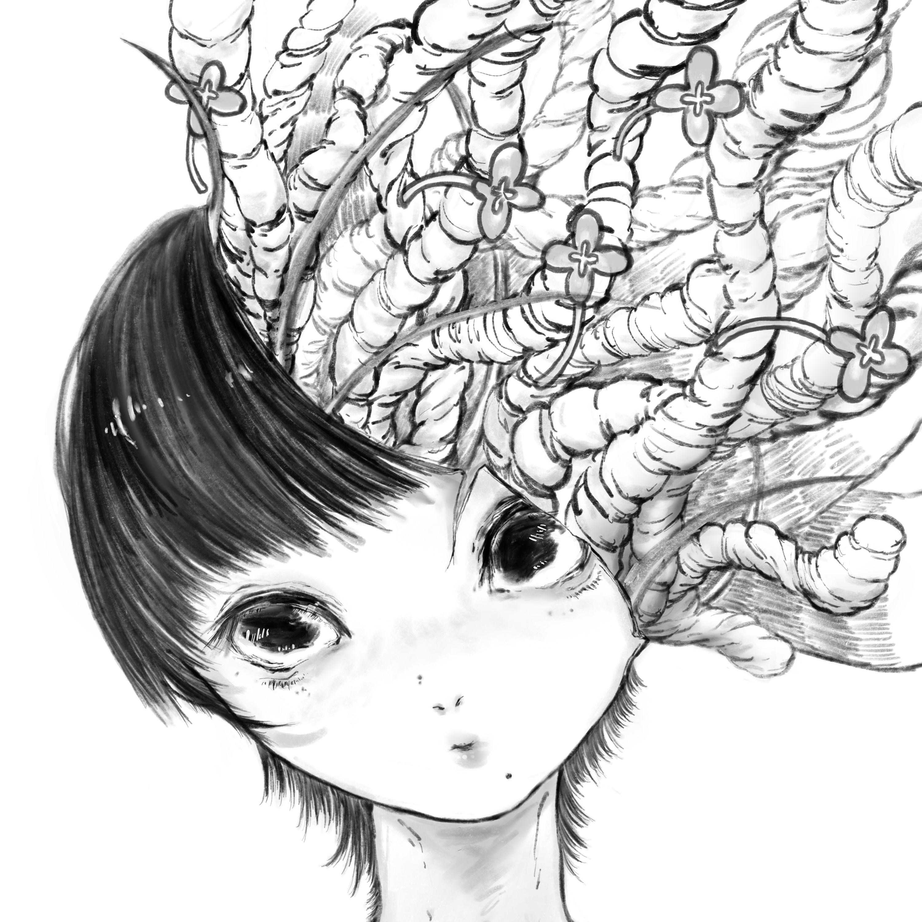 「鳥」｜「肉桂色铺子及其他故事」