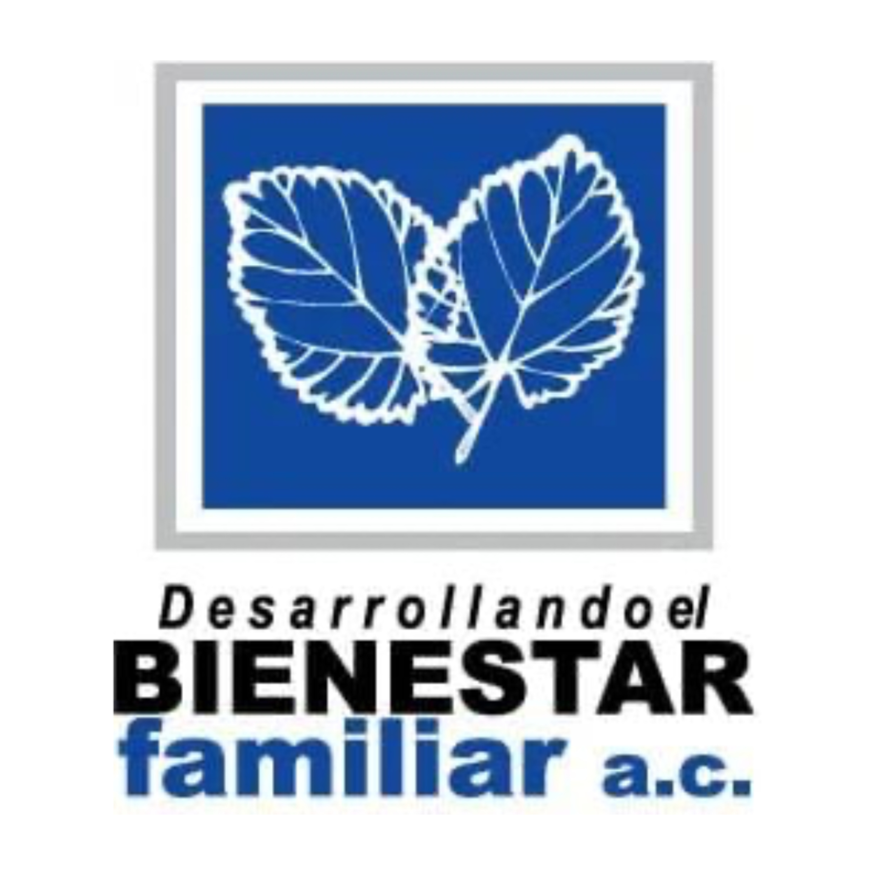 Desarrollando el Bienestar Familiar AC