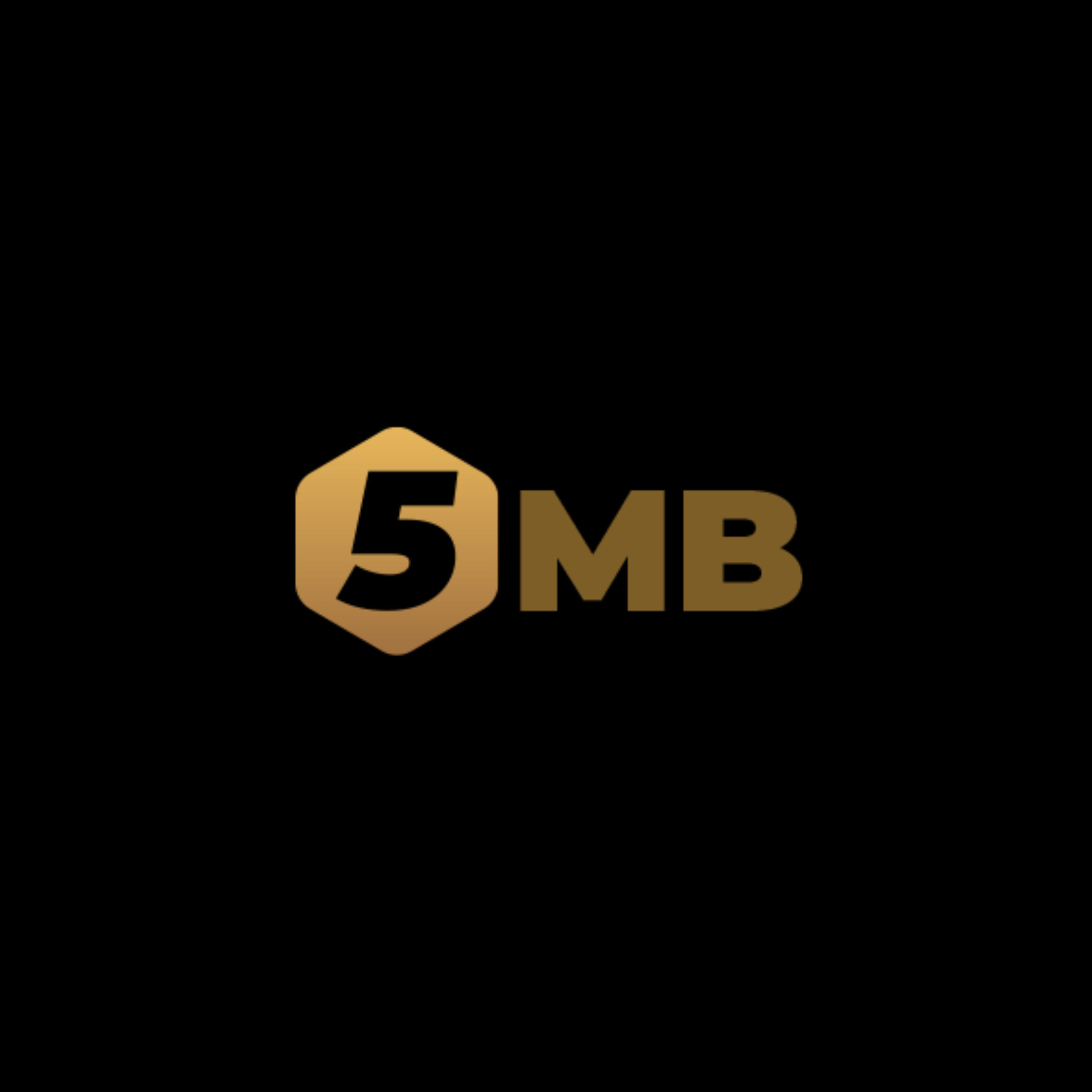 5MB