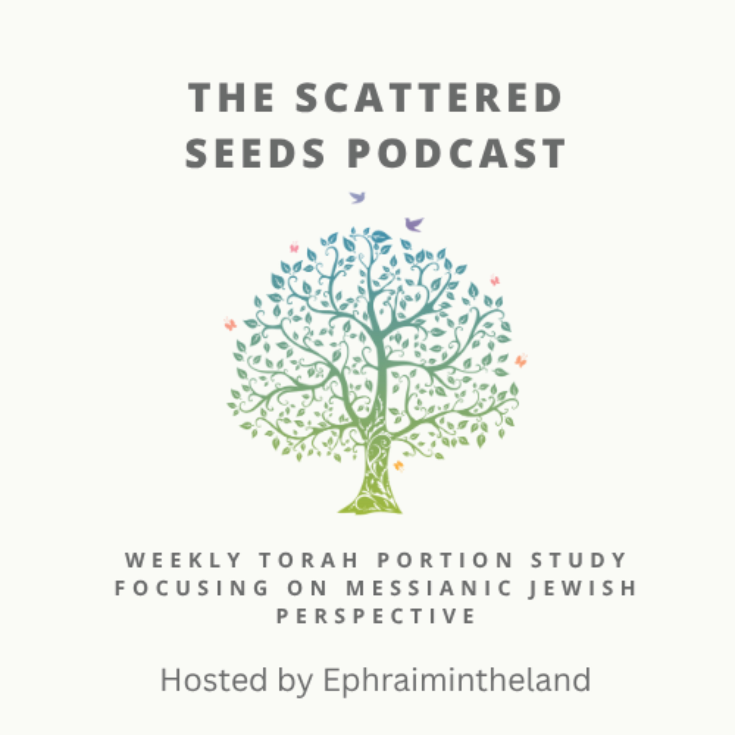 The Scattered Seeds