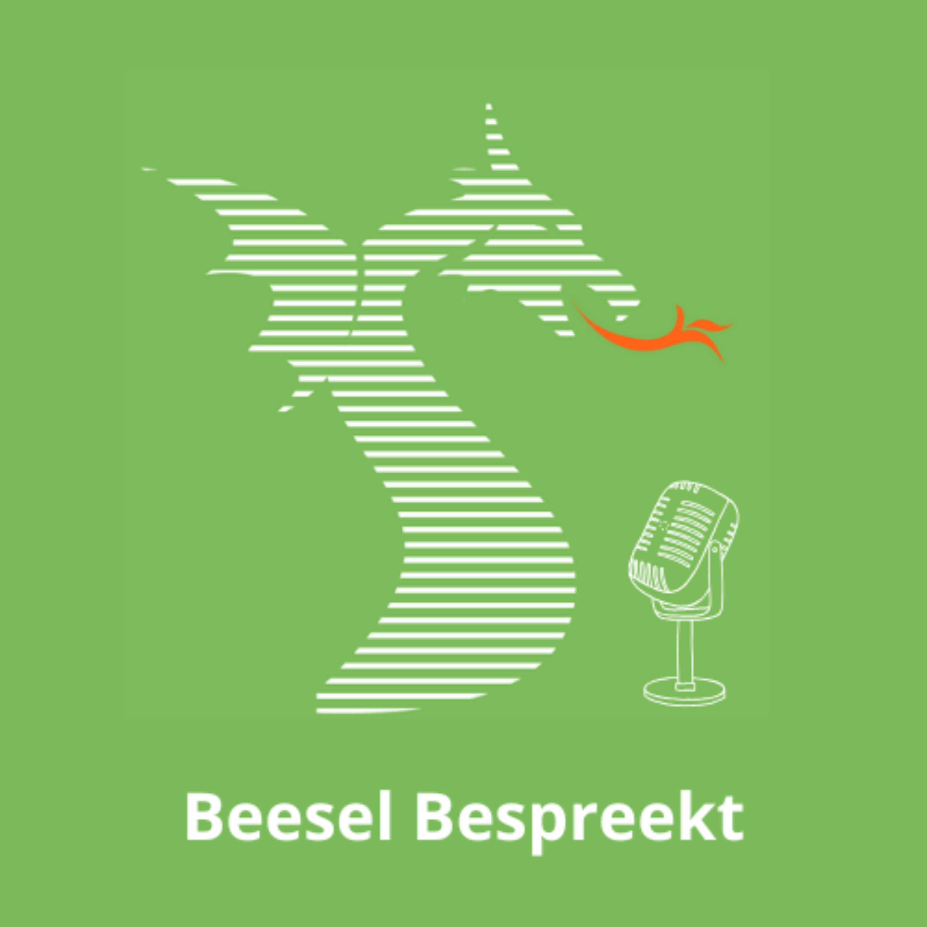 Beesel Bespreekt | P&M podcast artwork