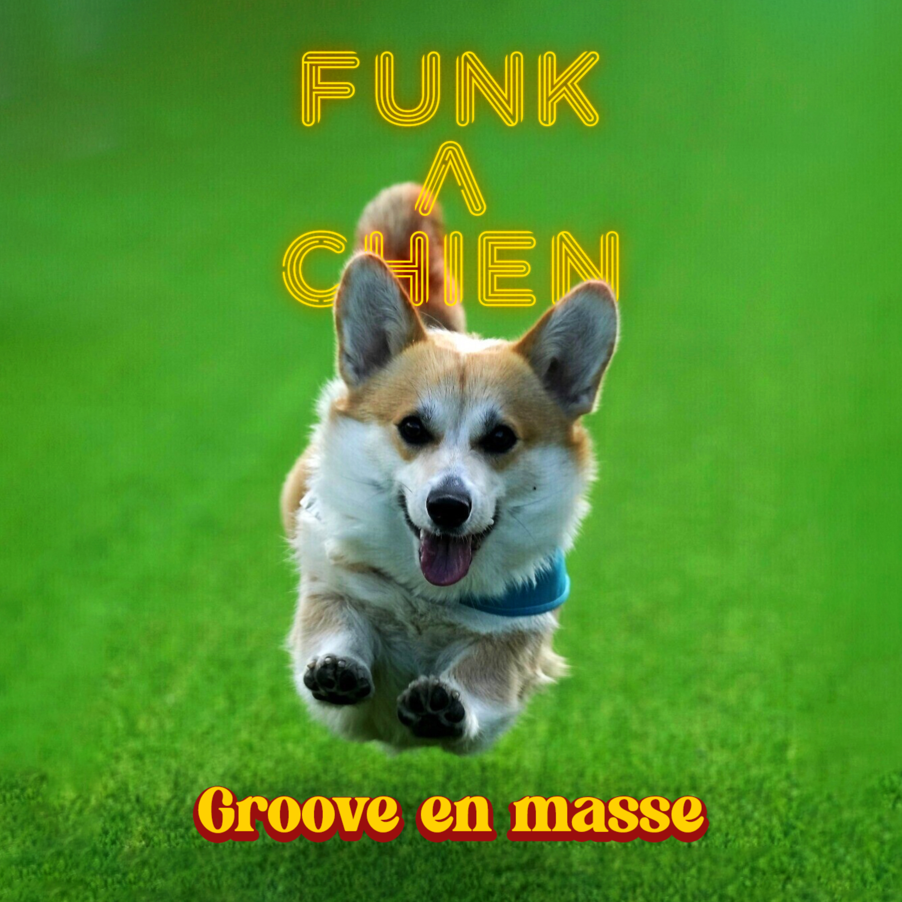 Funk à Chien