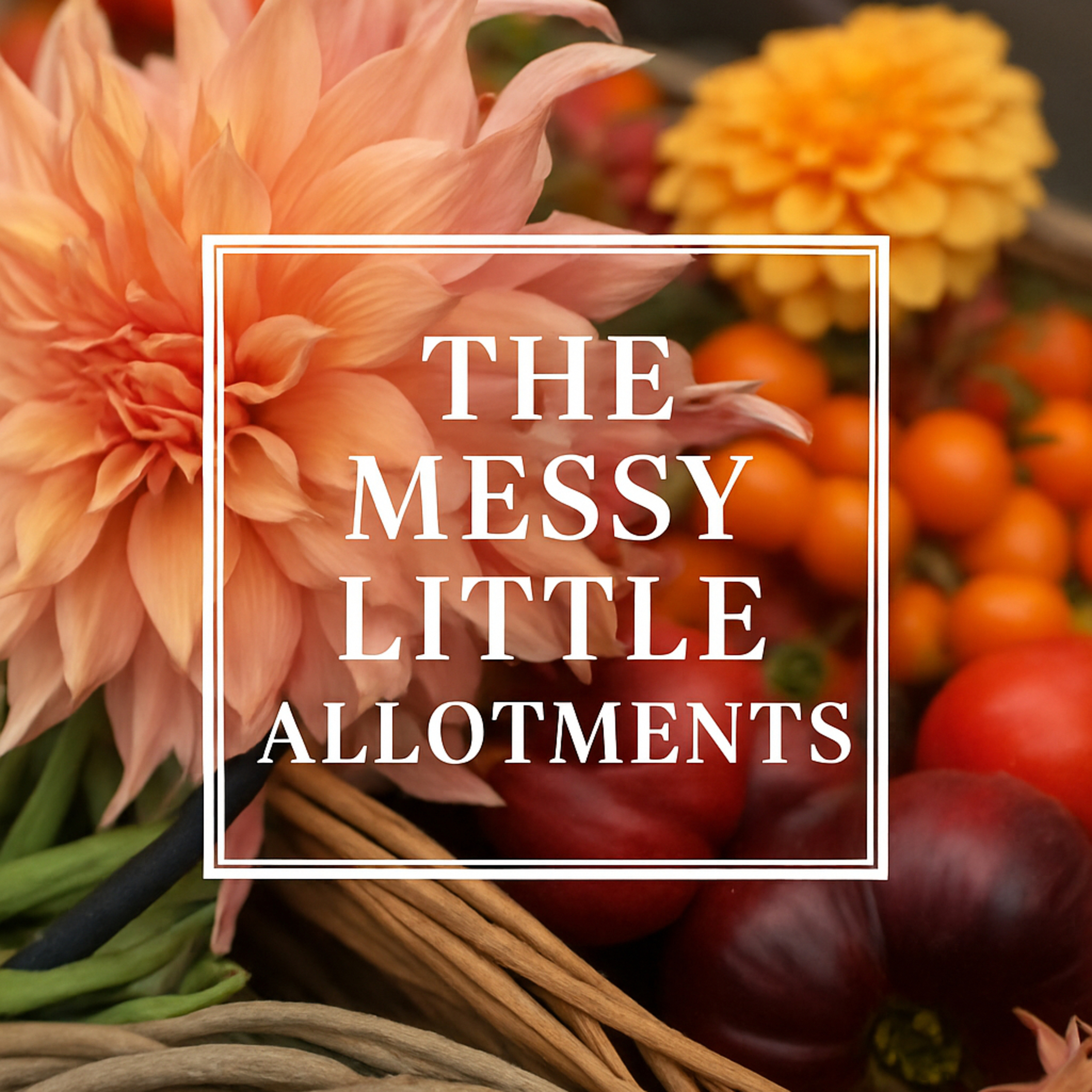 The Messy Little Allotments cover art