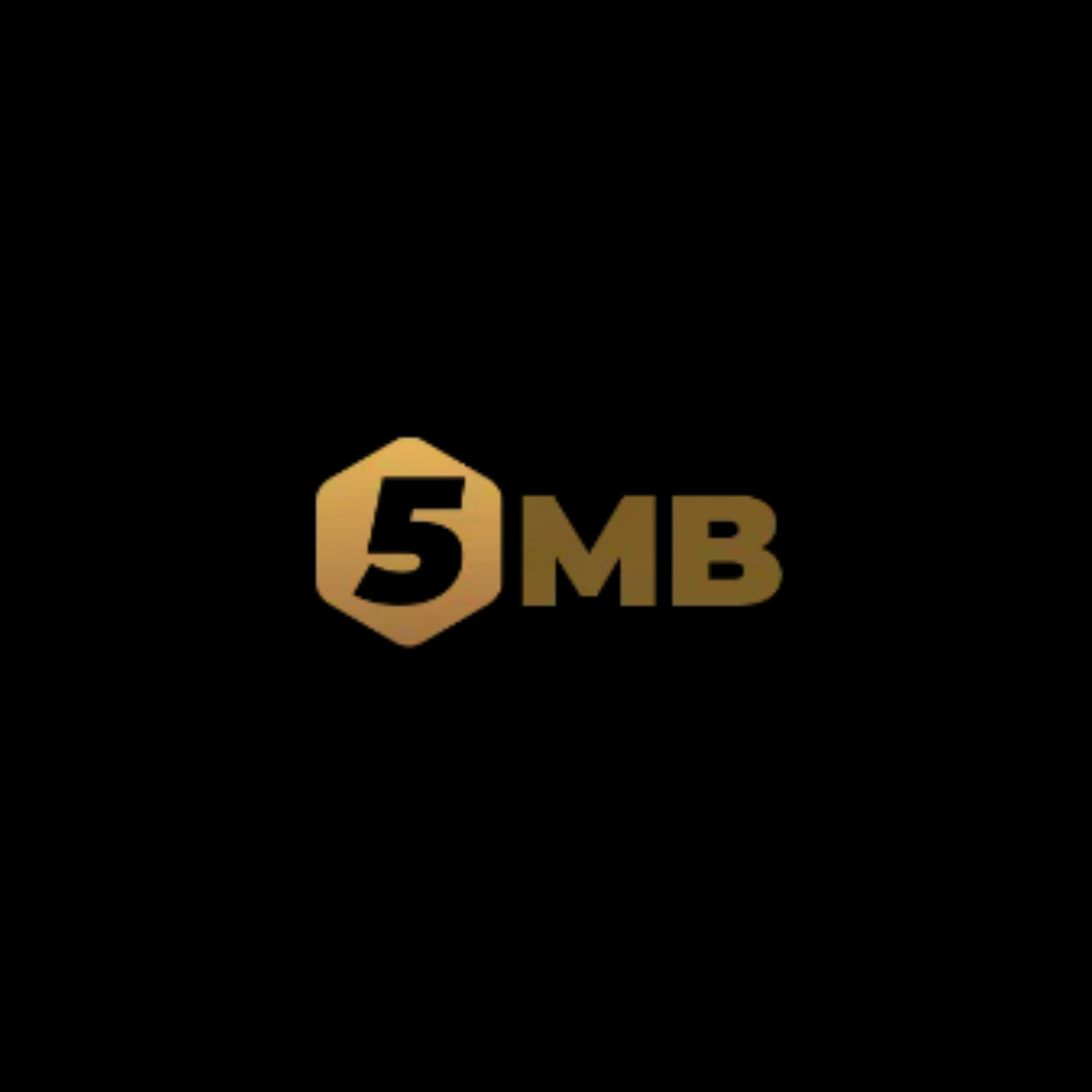 5MB
