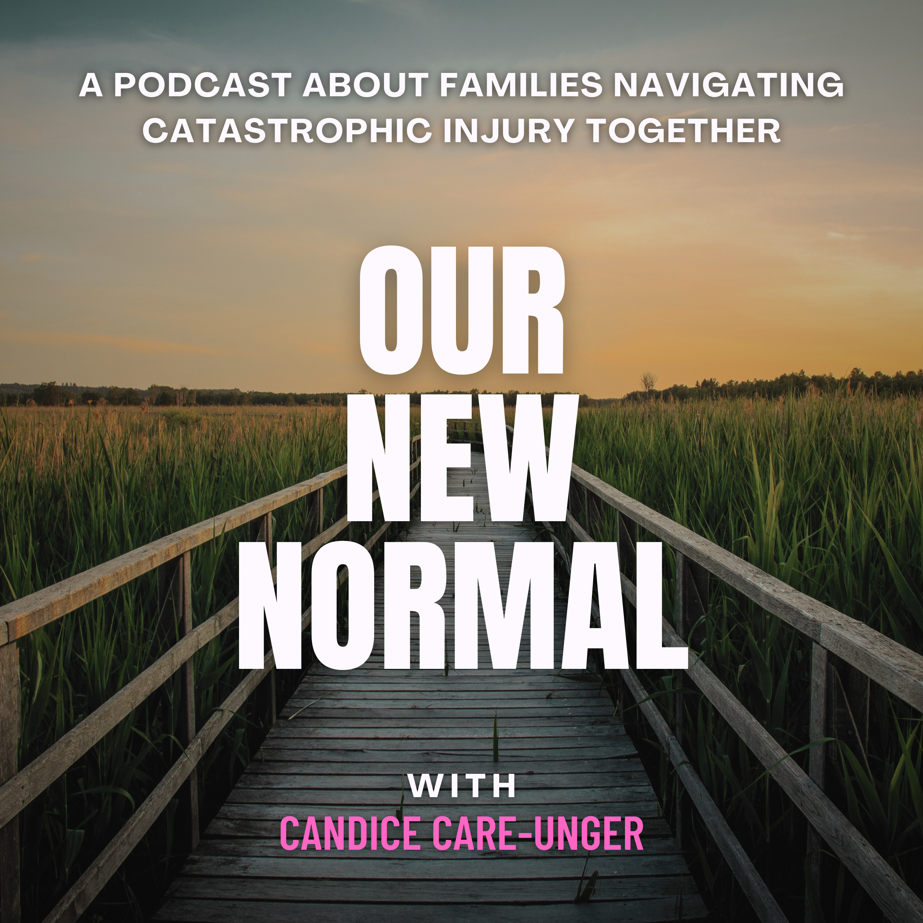 Our New Normal podcast artwork