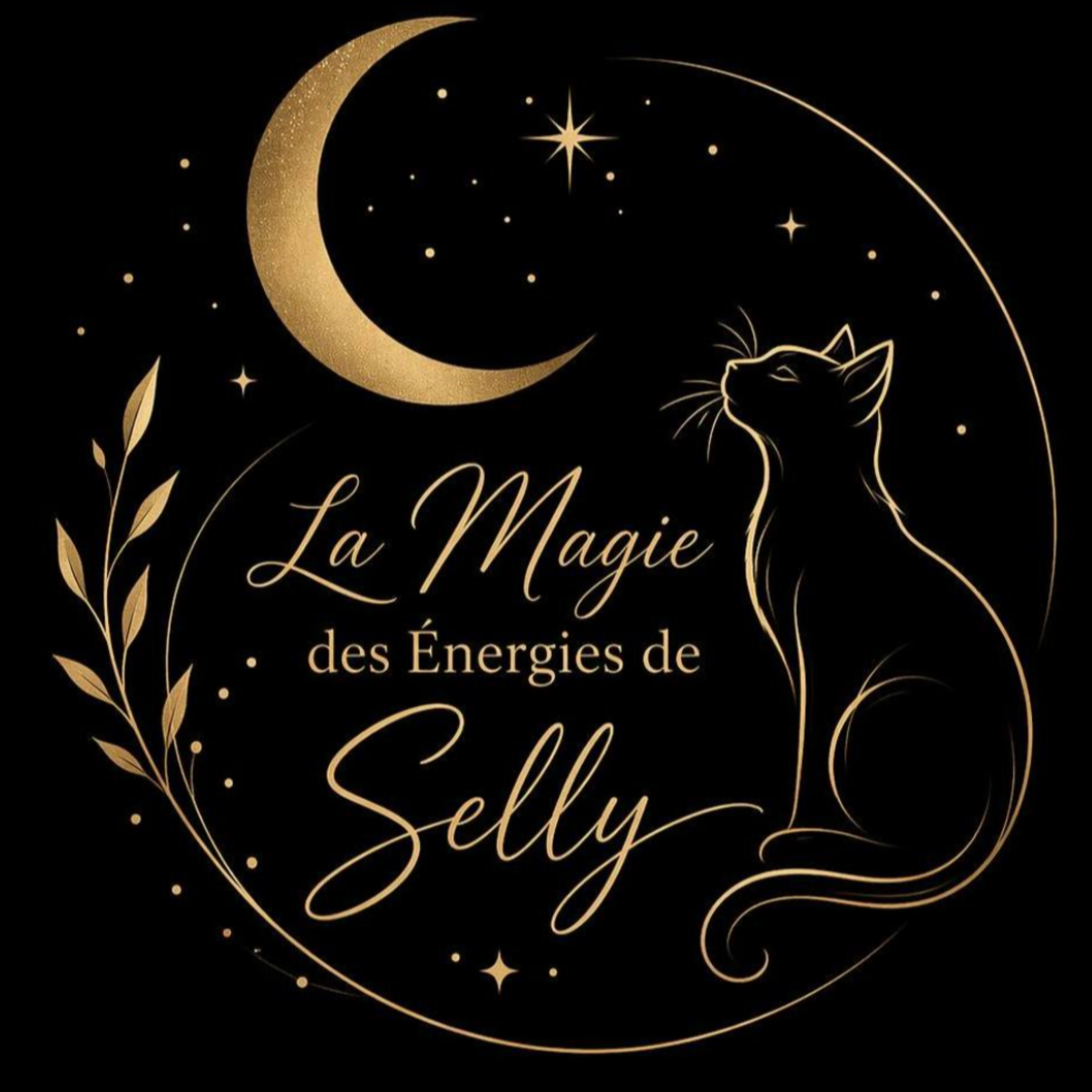 La Magie Des Énergies de Selly