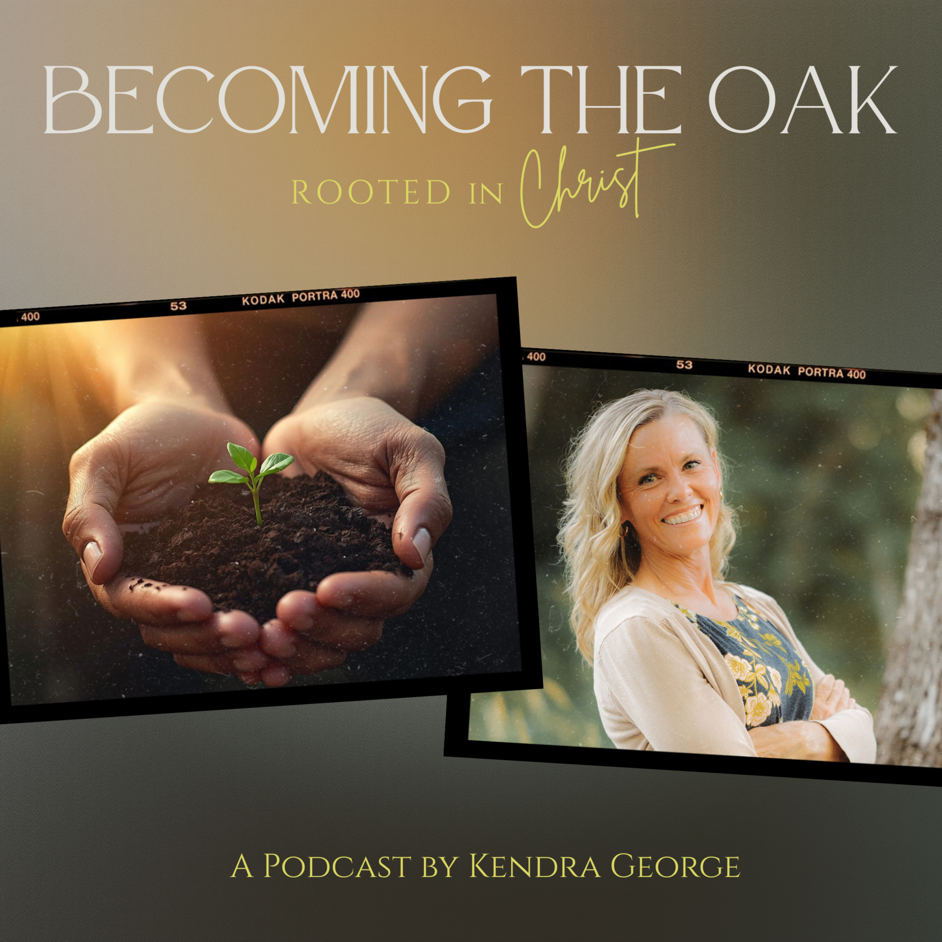 Becoming the Oak: Rooted in Christ cover art