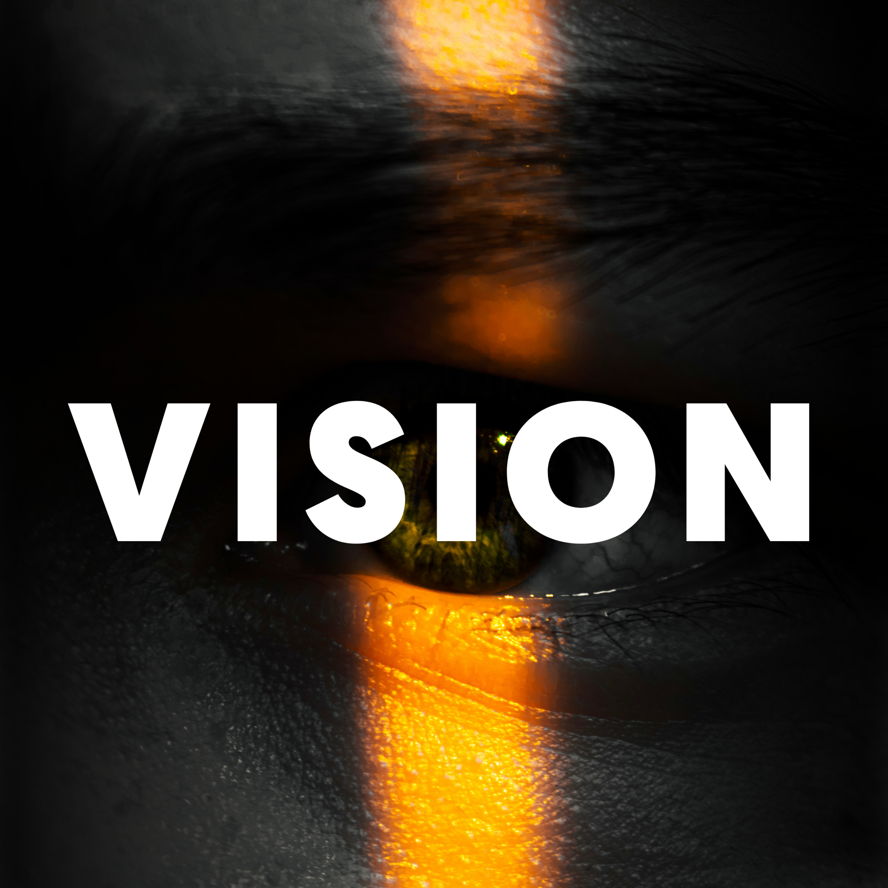 VISION