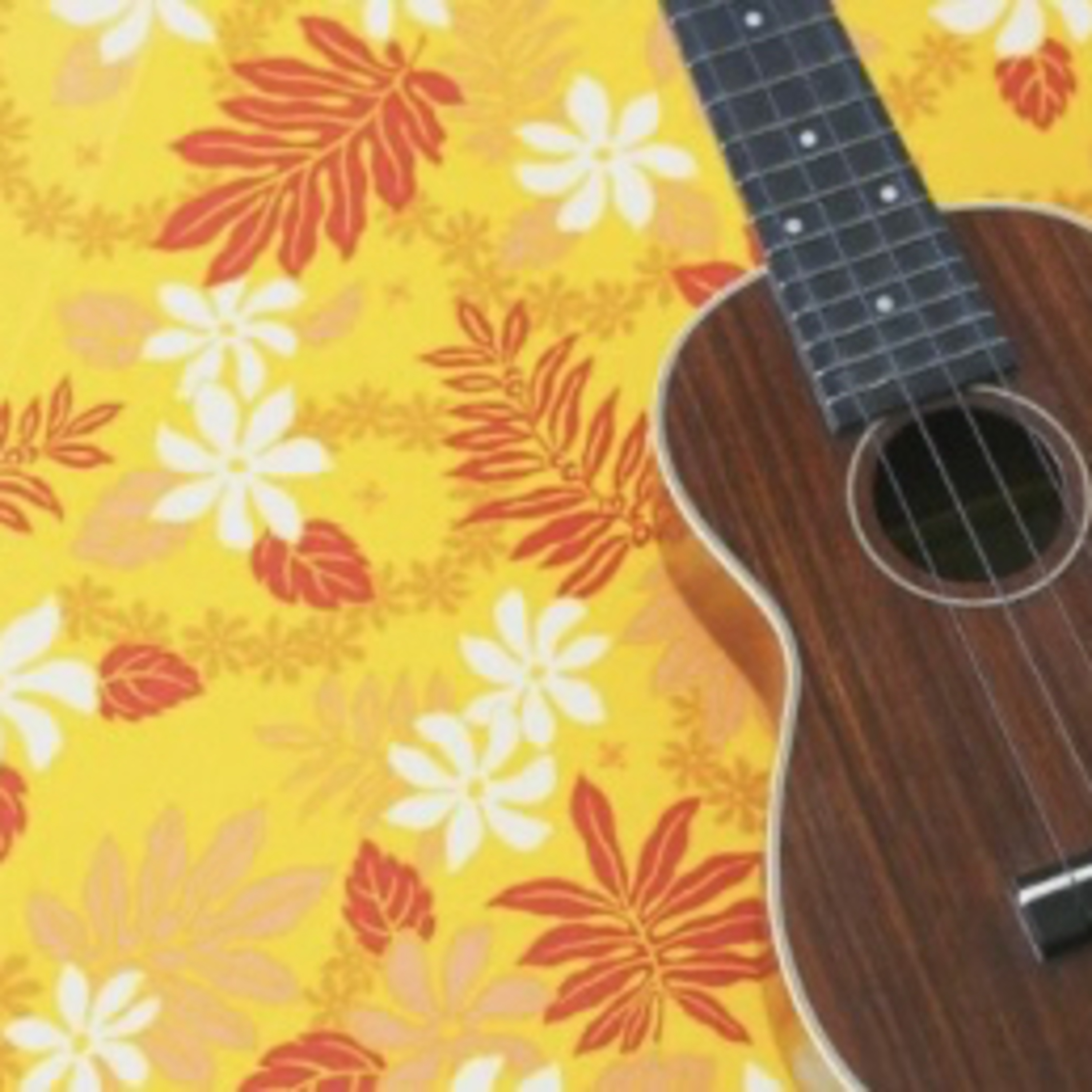 音楽でひらく、心と記憶の窓