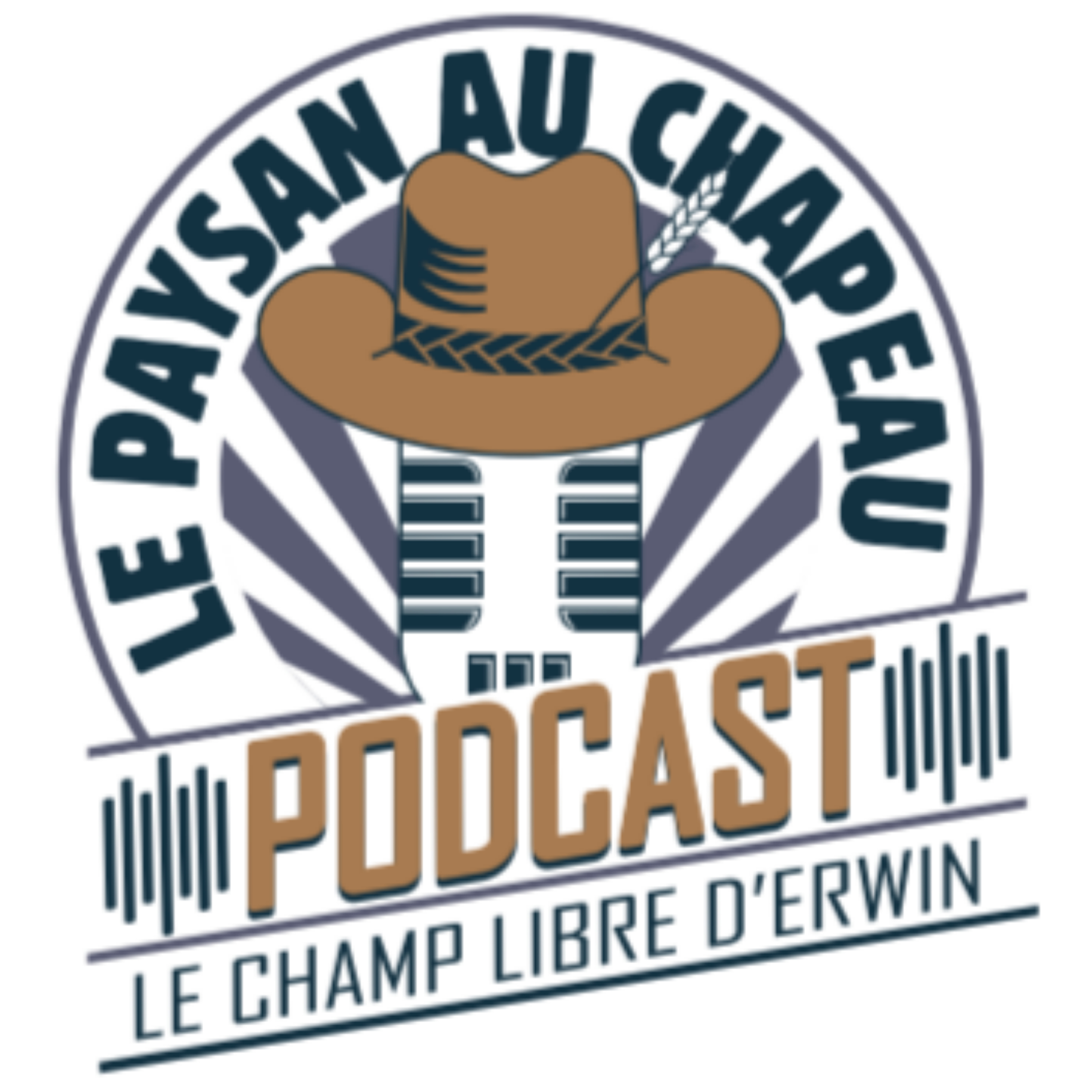 Le champ libre d\'Erwin - Le paysan au chapeau
