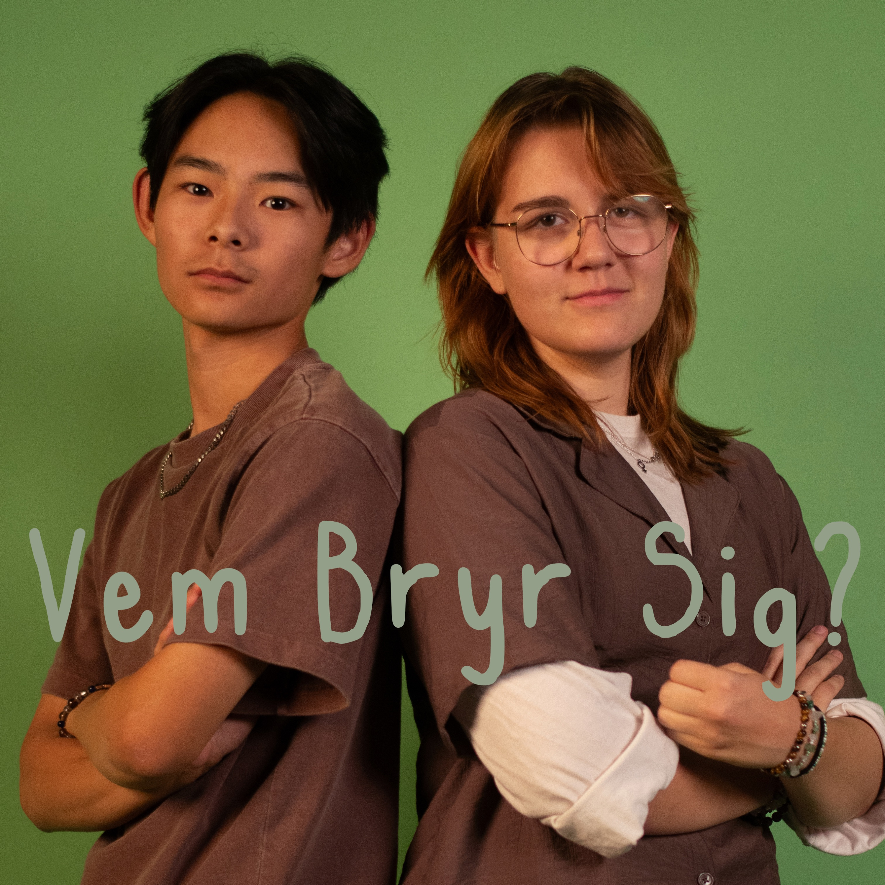 Vem Bryr Sig? podcast artwork