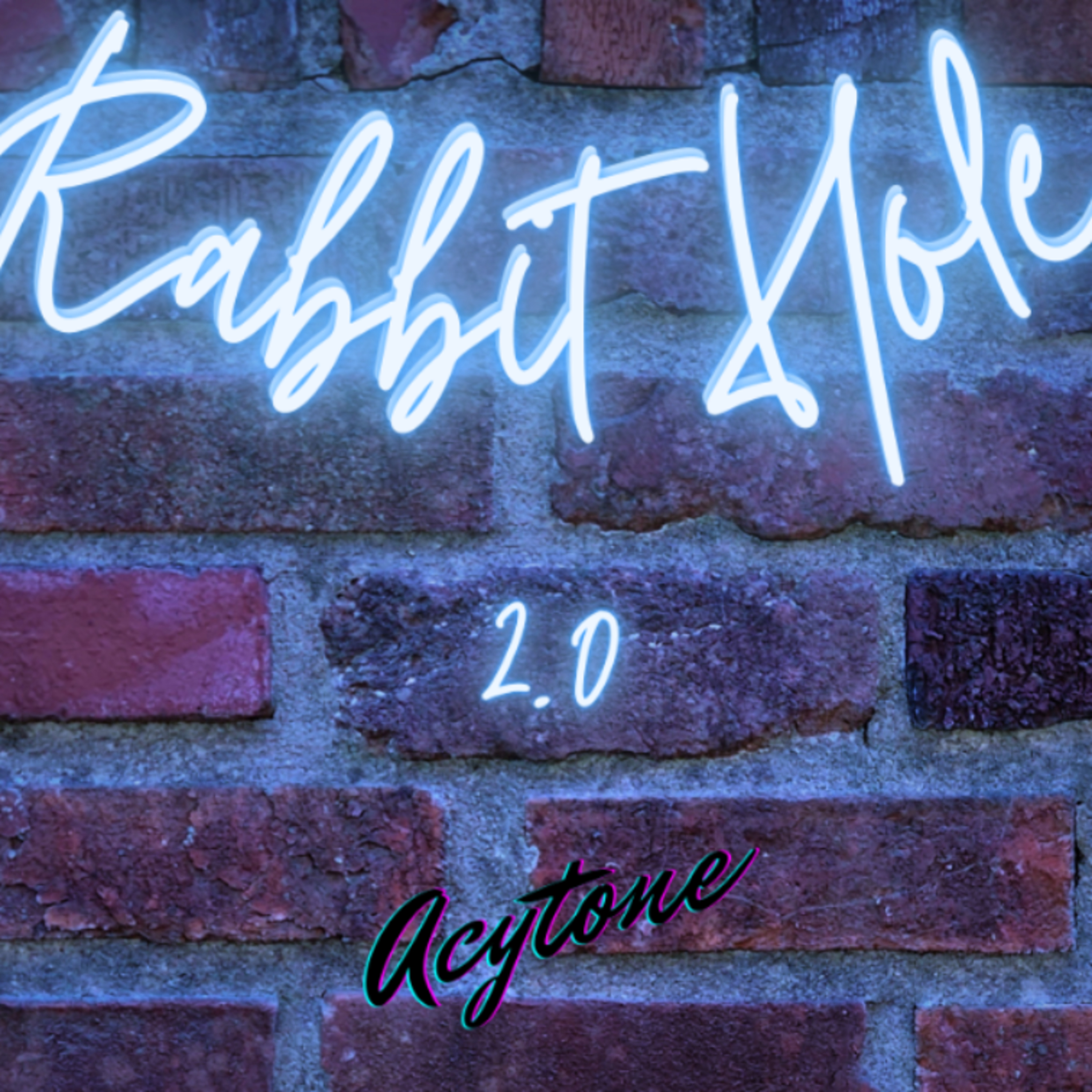 Rabbit Hole 2.0 / Acytone