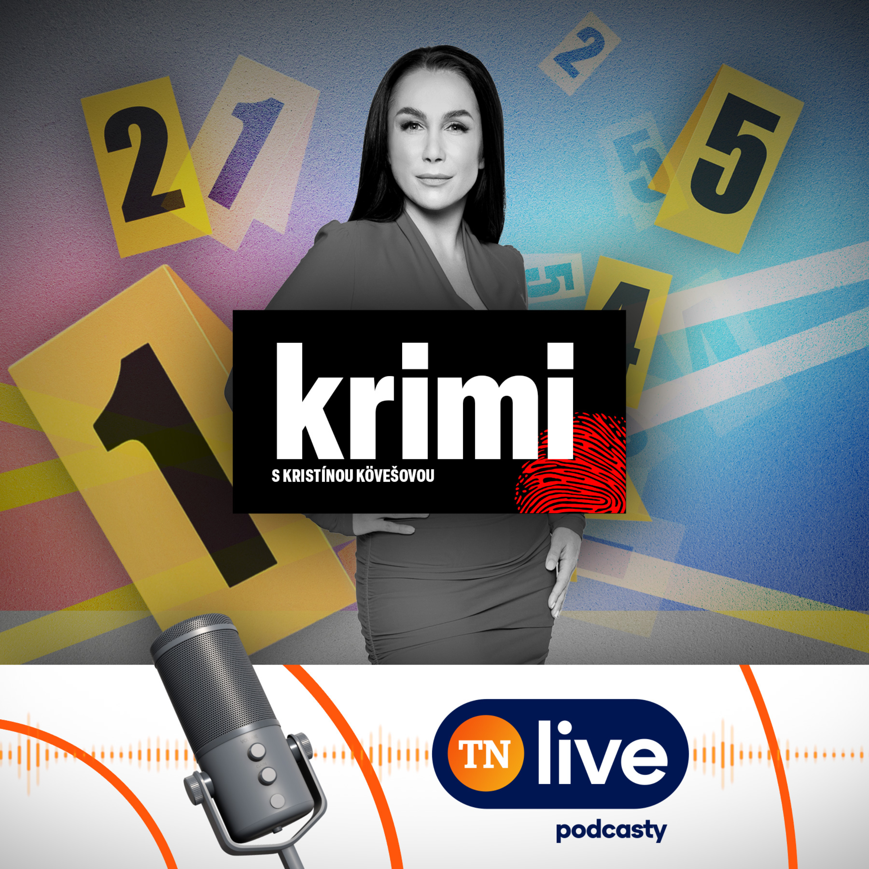 Namiesto Ježiška krádež. Kriminálnikom sa začala sezóna Namiesto Ježiška krádež. Kriminálnikom sa začala sezóna