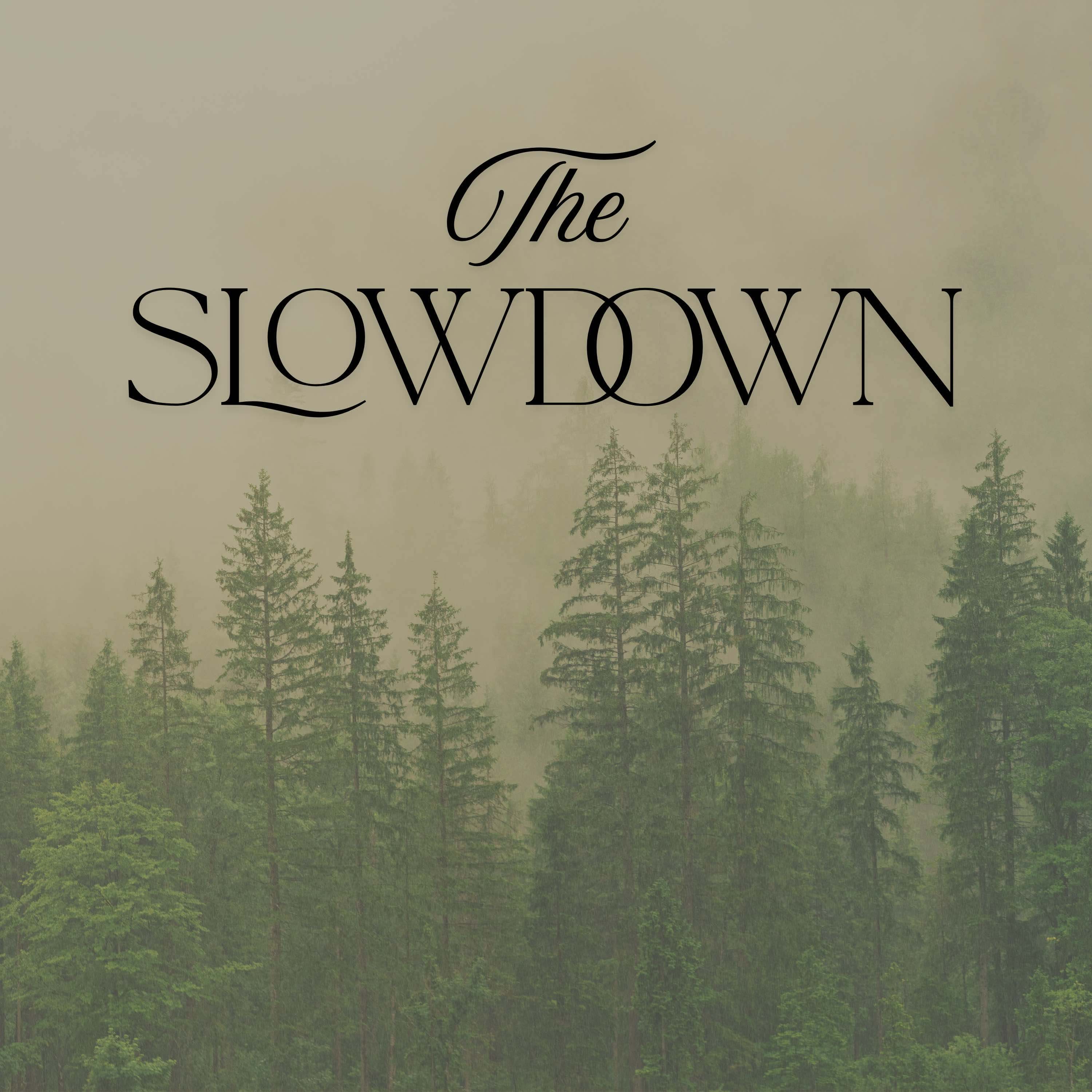 The Slowdown