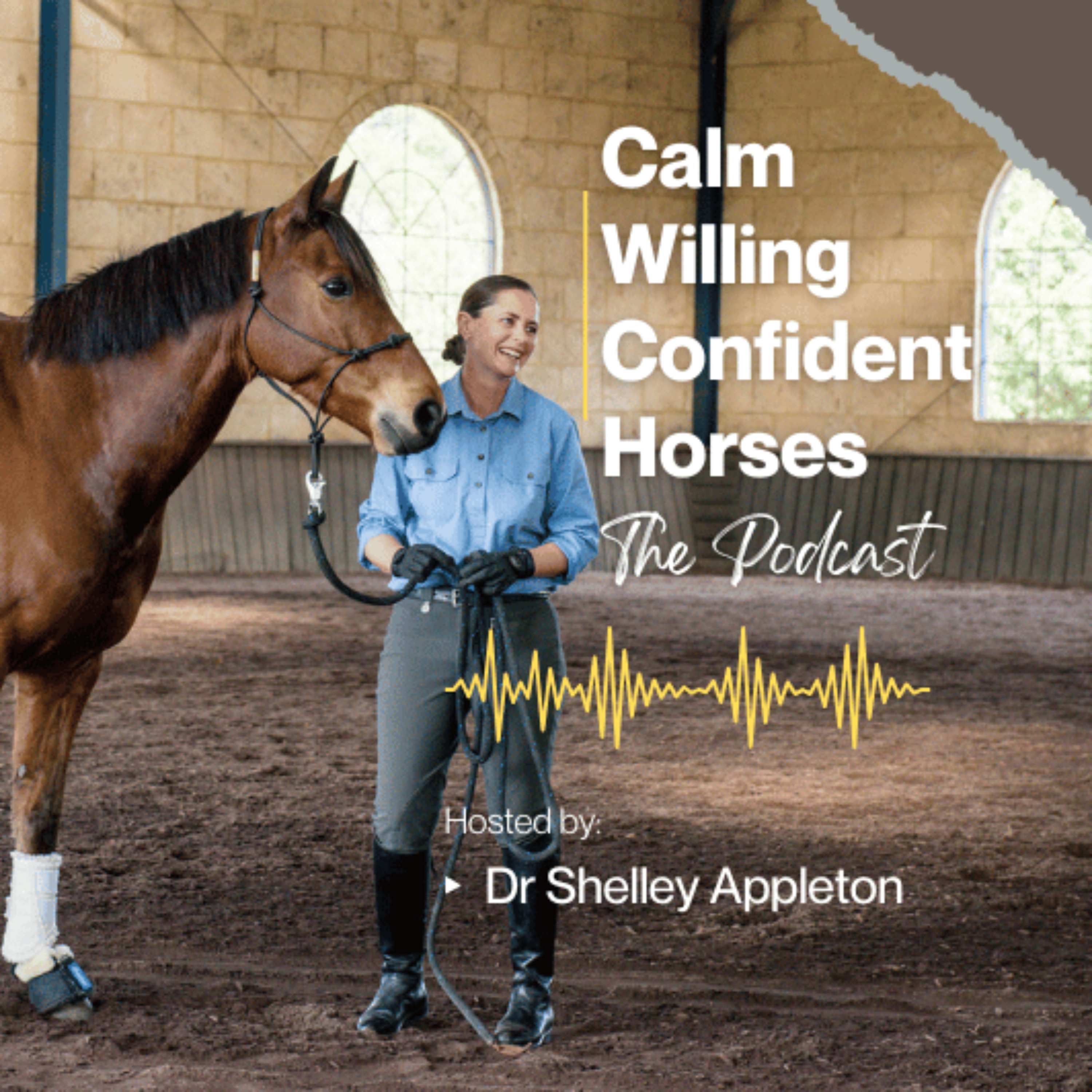 Calm Willing Confident Horses — The Podcast