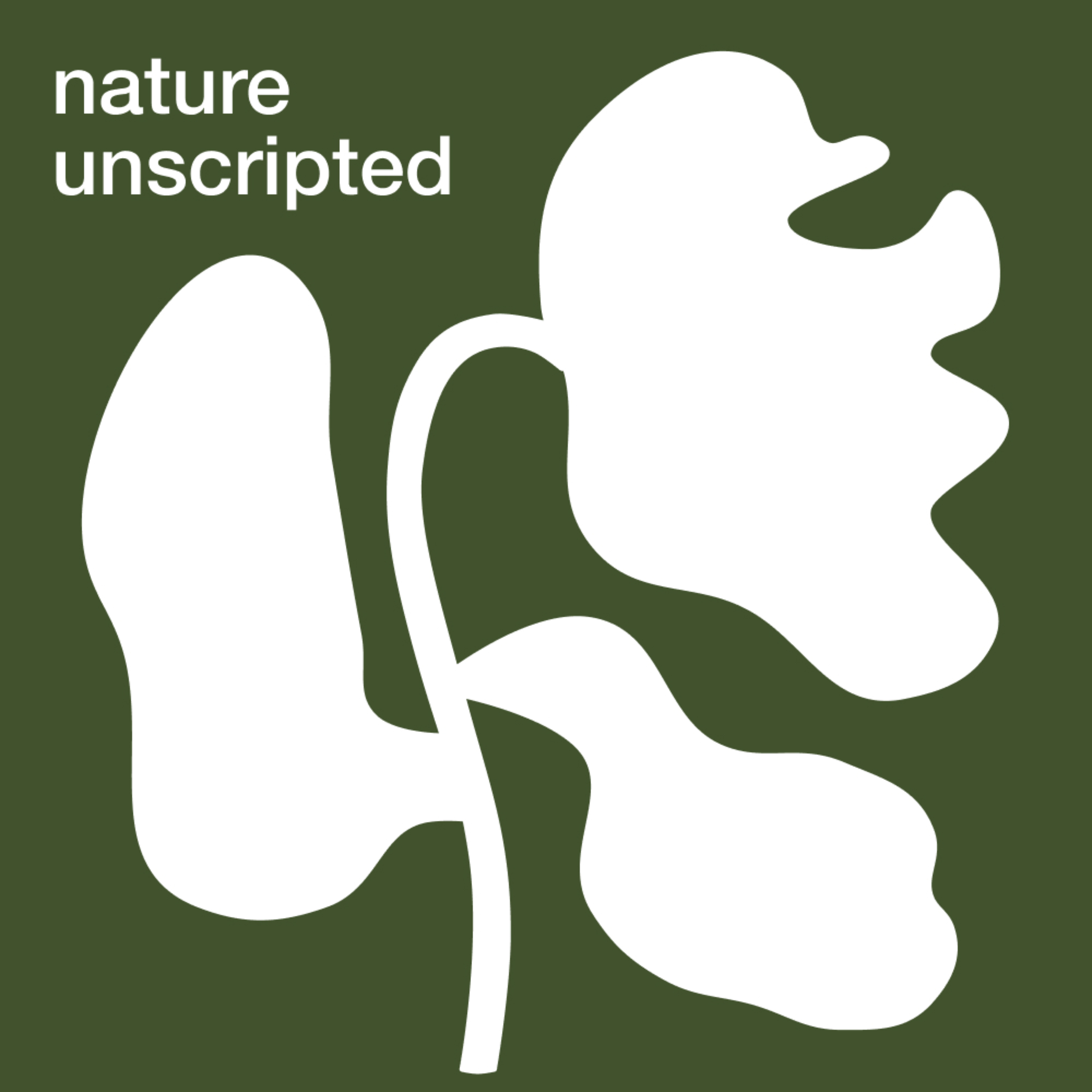 nature unscripted