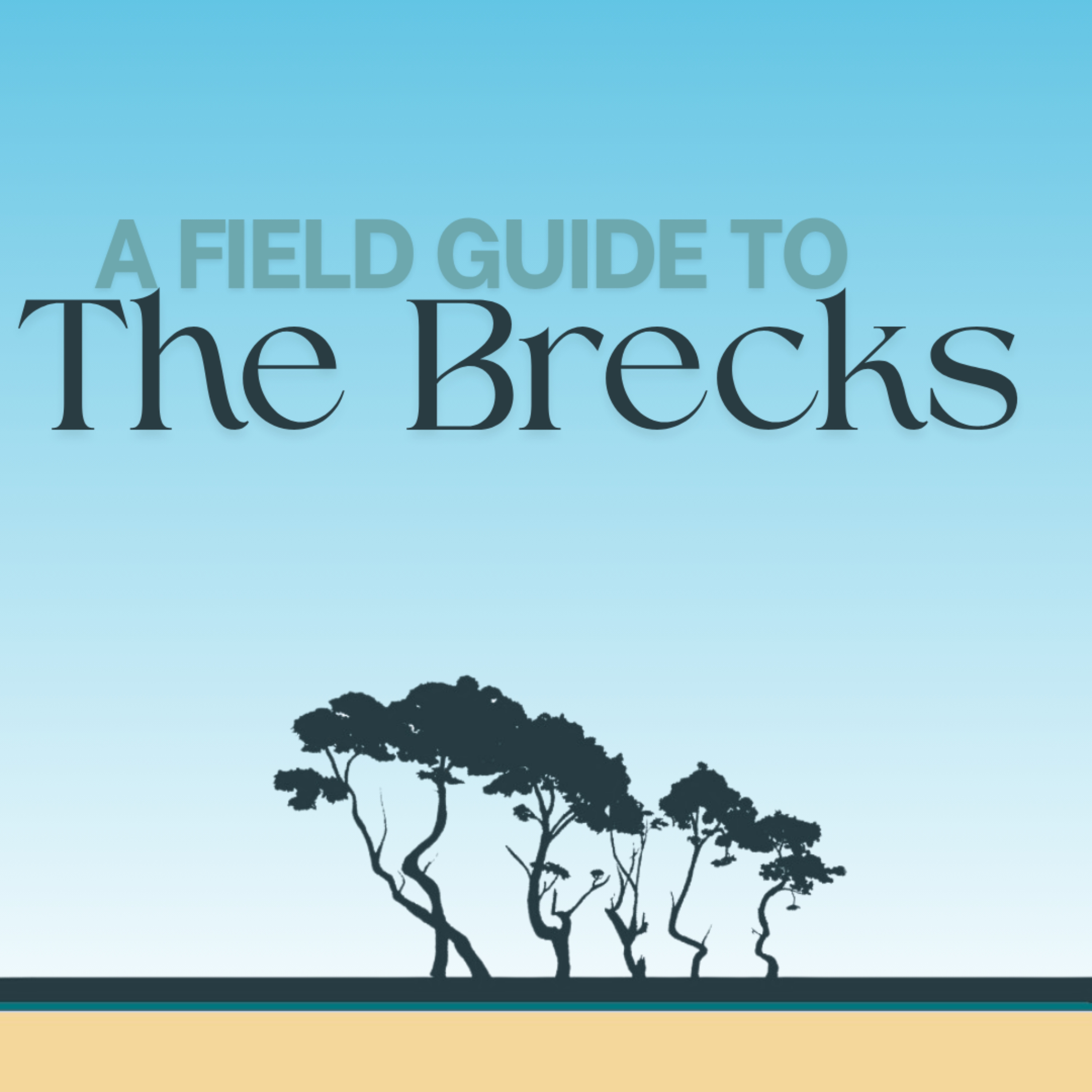 A Field Guide to the Brecks