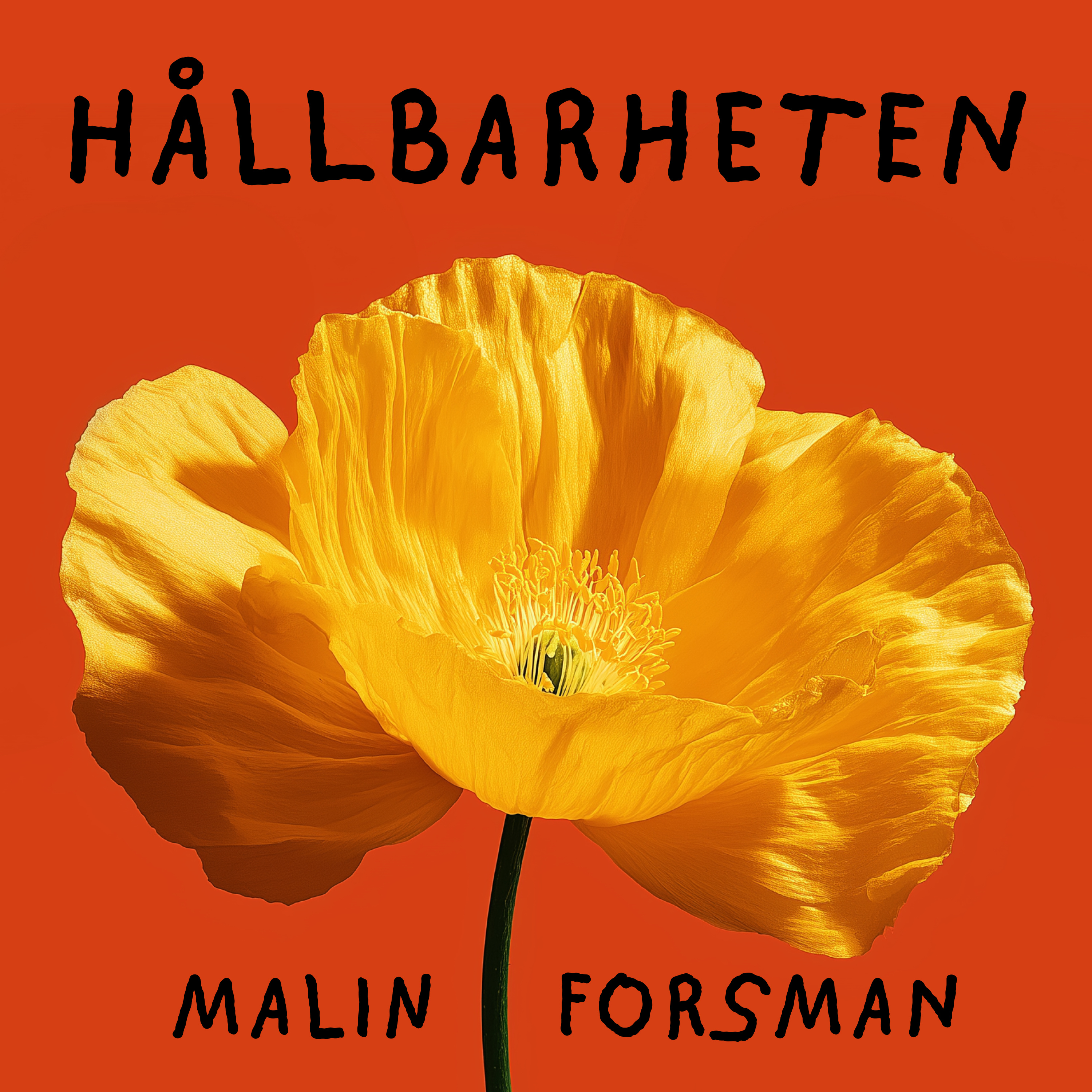 Hållbarheten