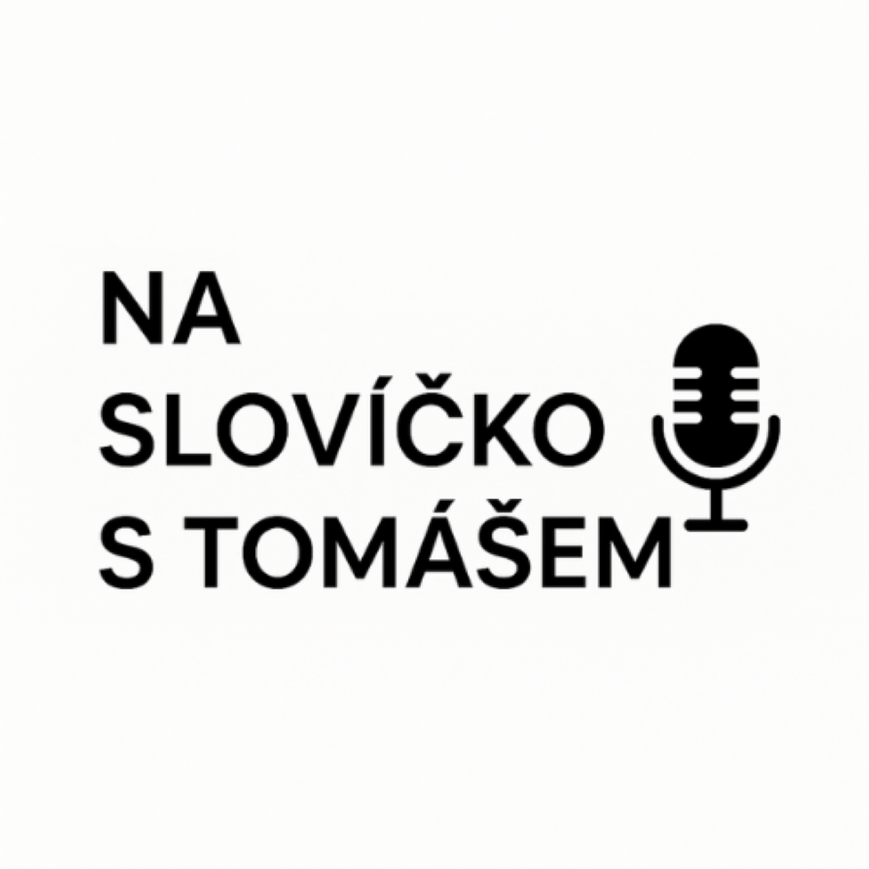 Na slovíčko s Tomášem podcast artwork