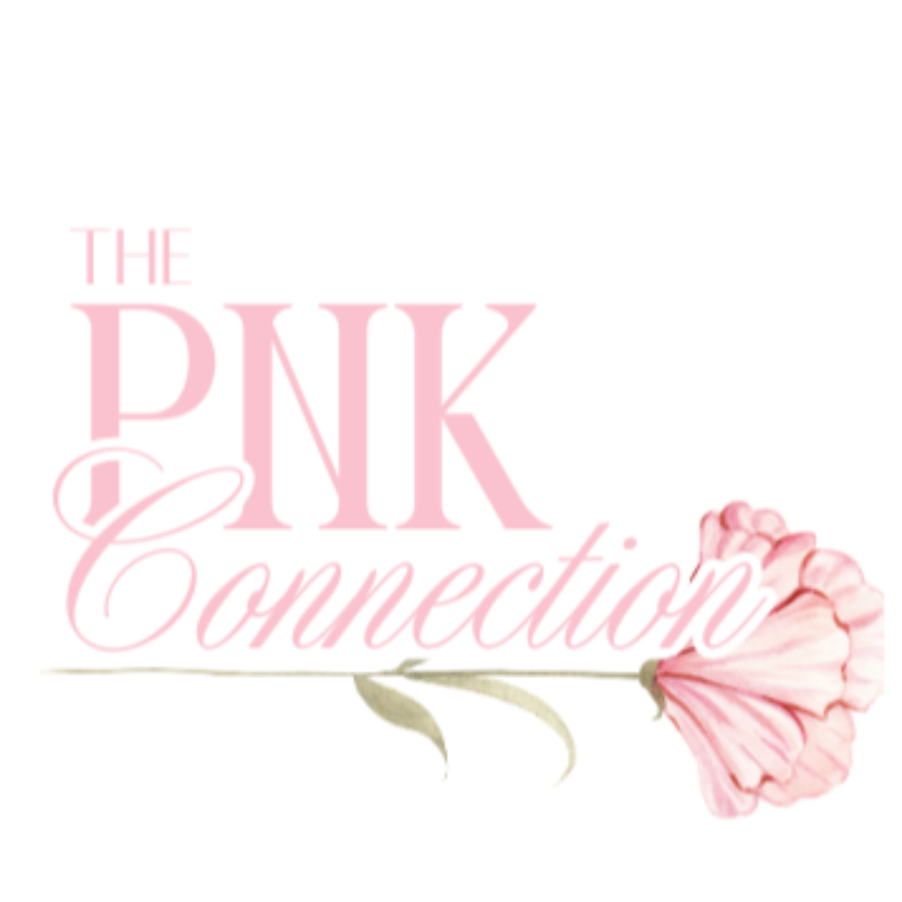 The PnK Connection cover art