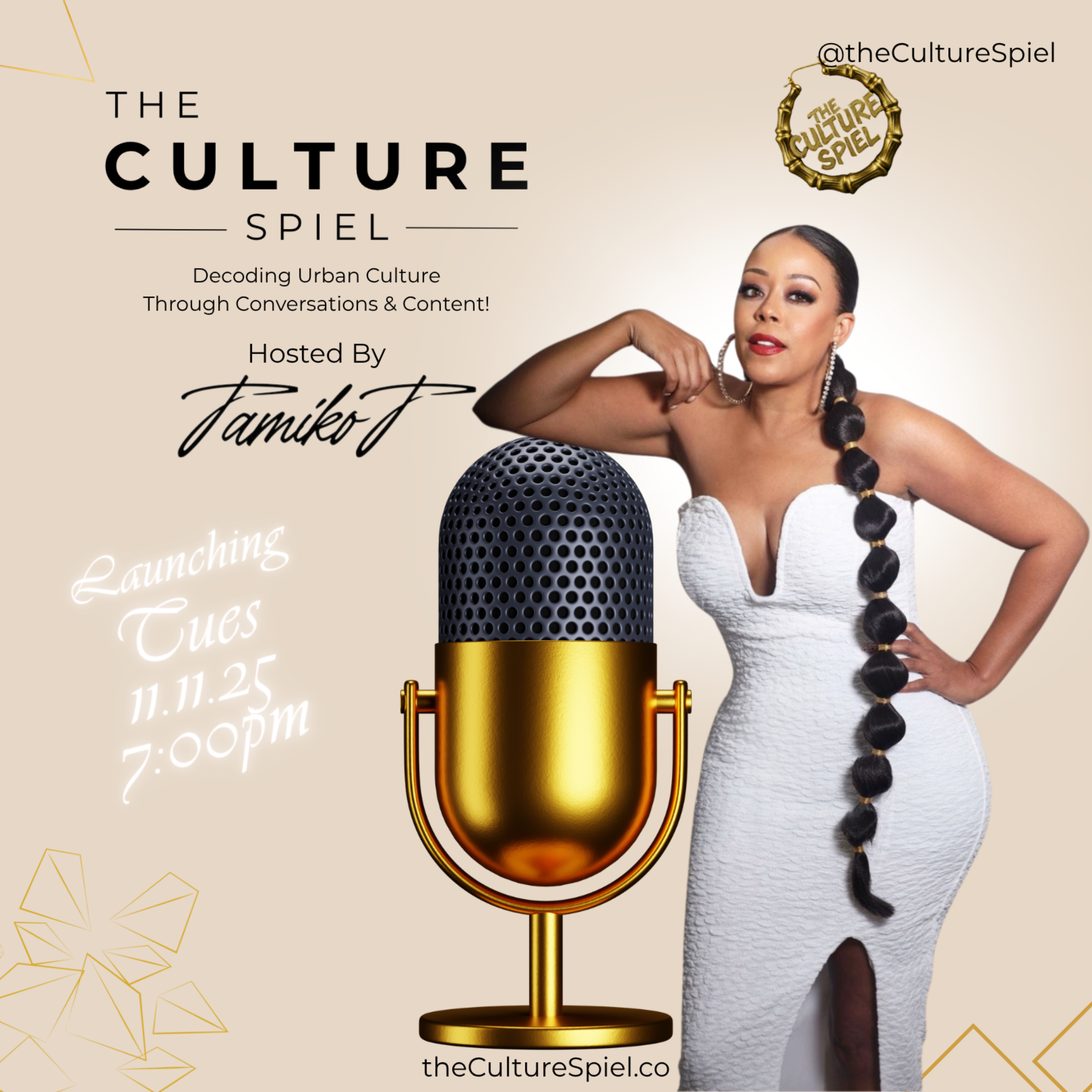 The Culture Spiel cover art