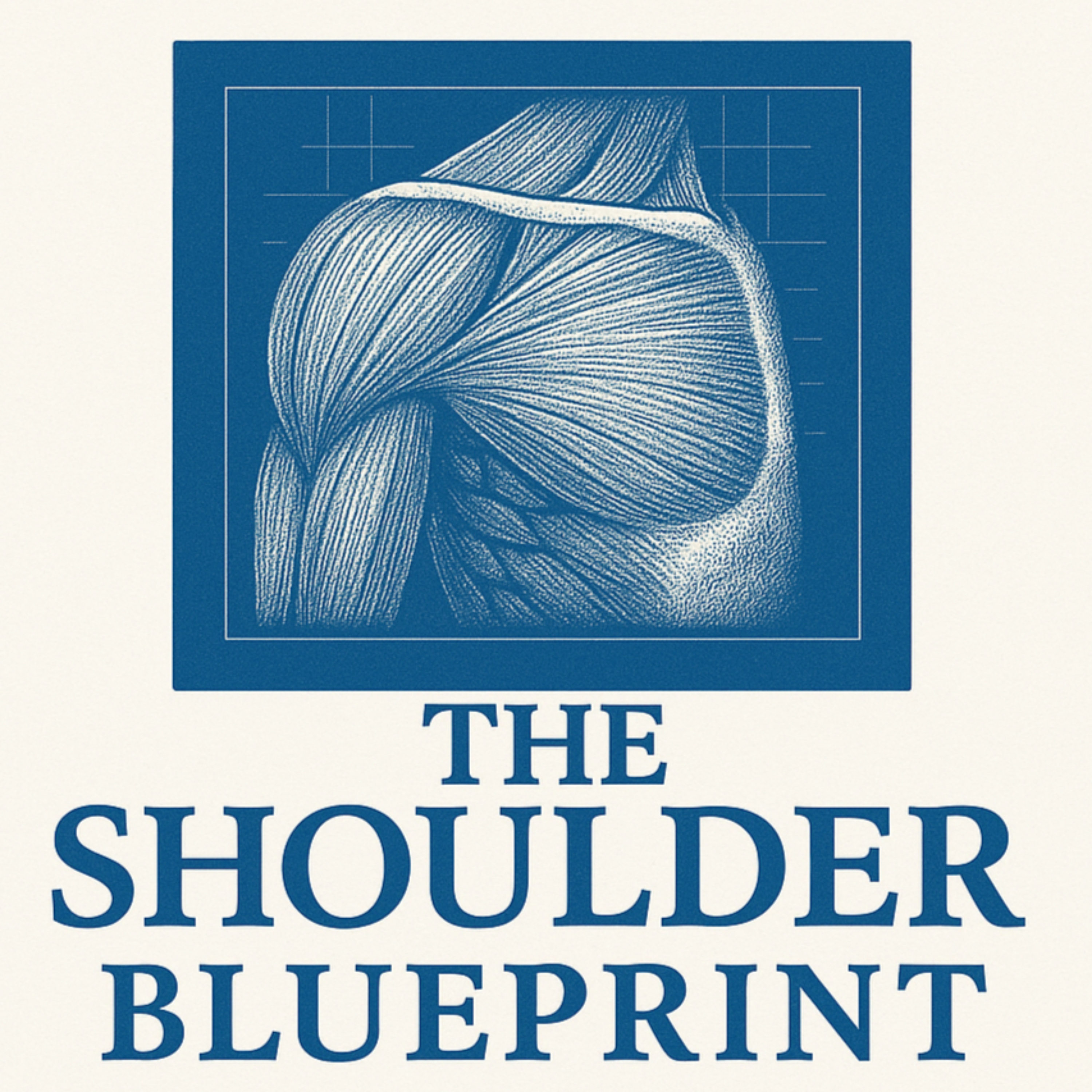 The Shoulder Blueprint