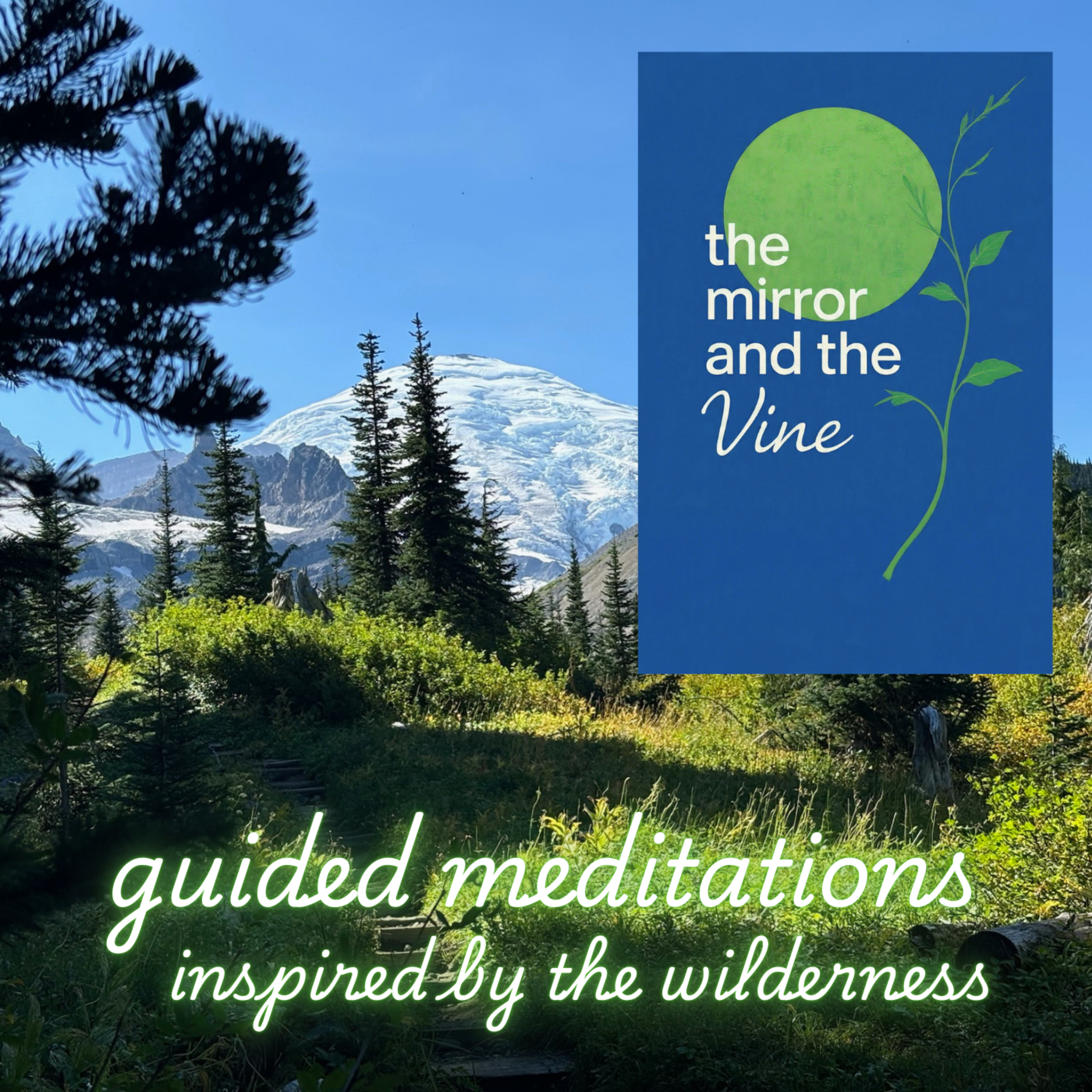 The Mirror and the Vine: Guided Meditations Set in Nature podcast artwork