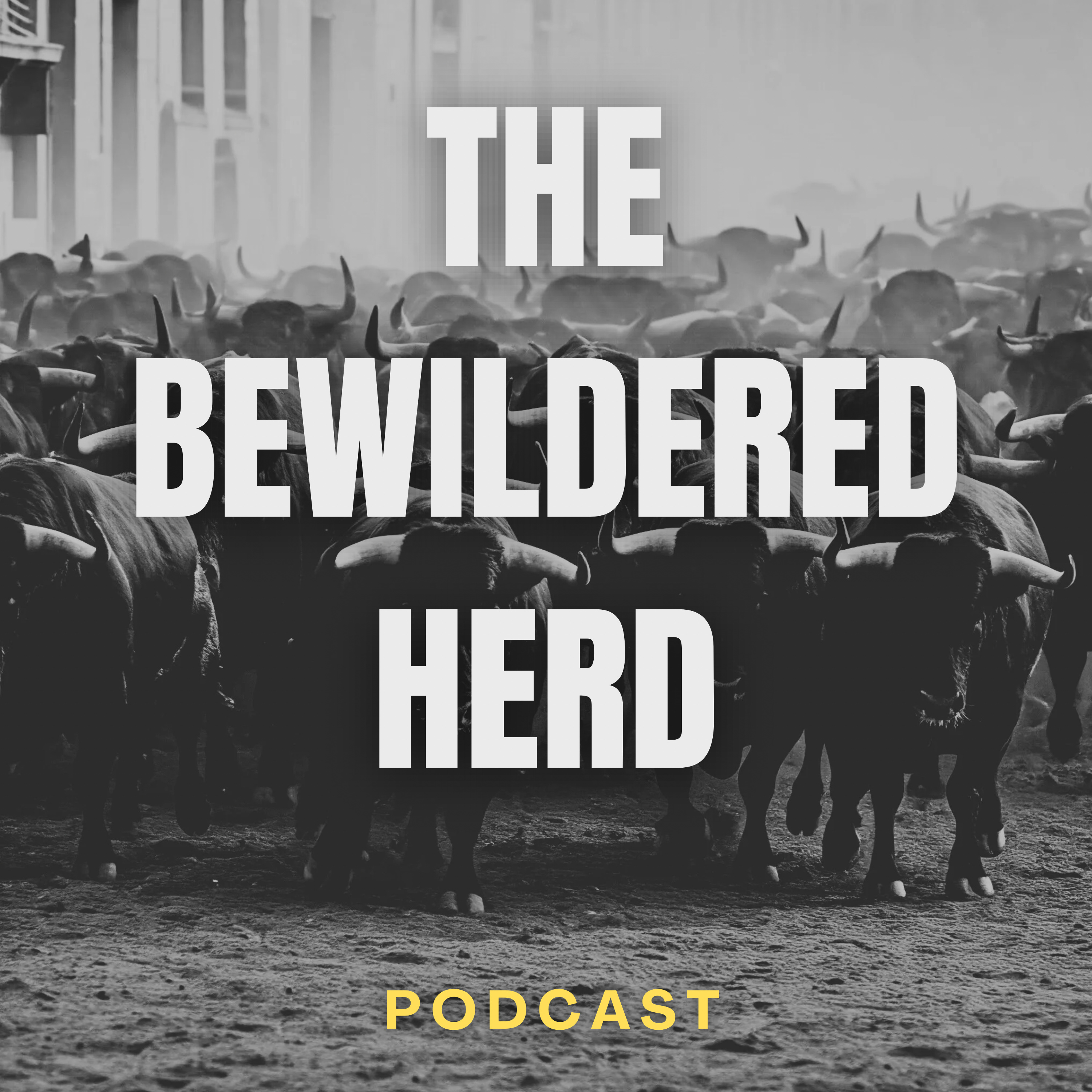 The Bewildered Herd podcast artwork