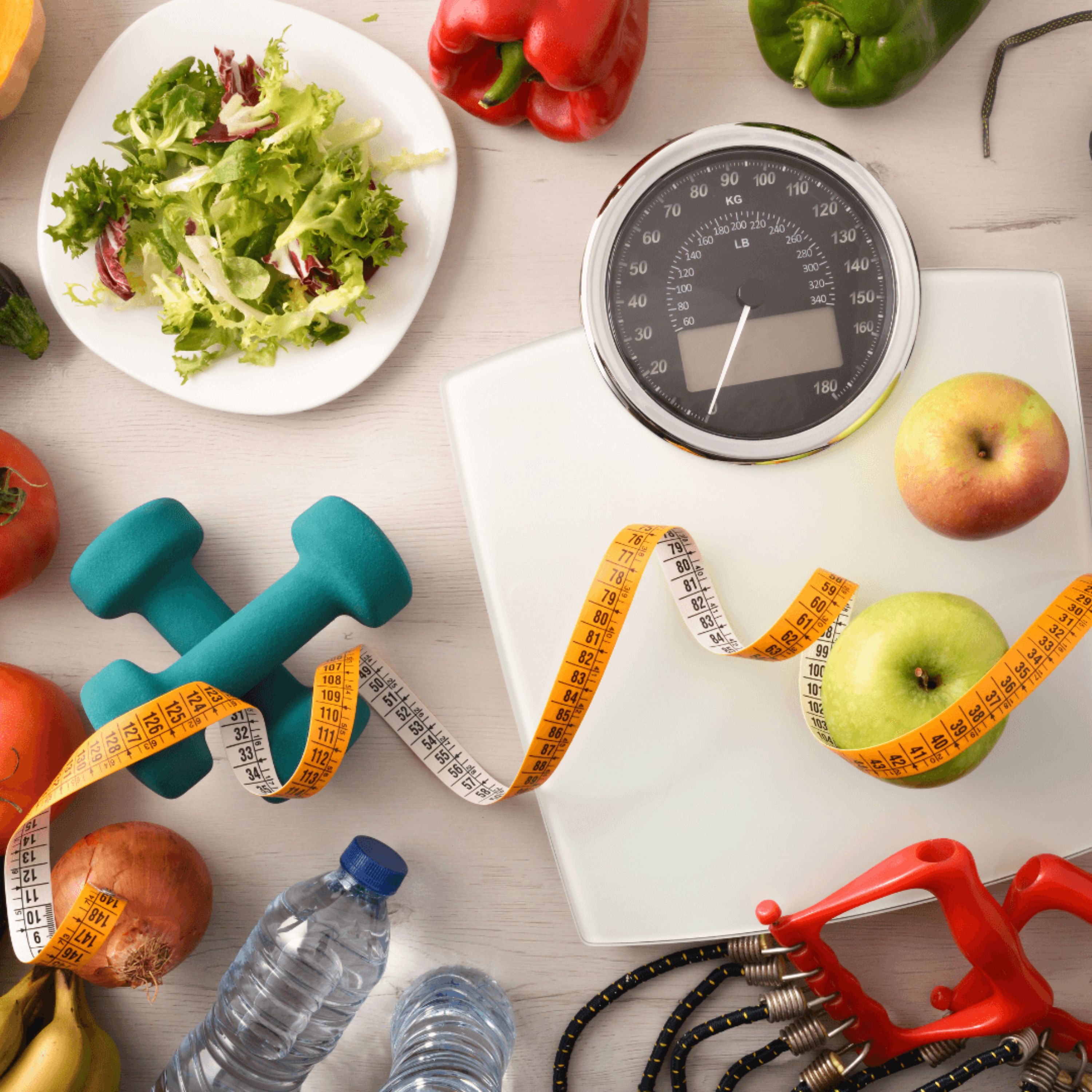 Fitness e nutrizione, in modo chiaro
