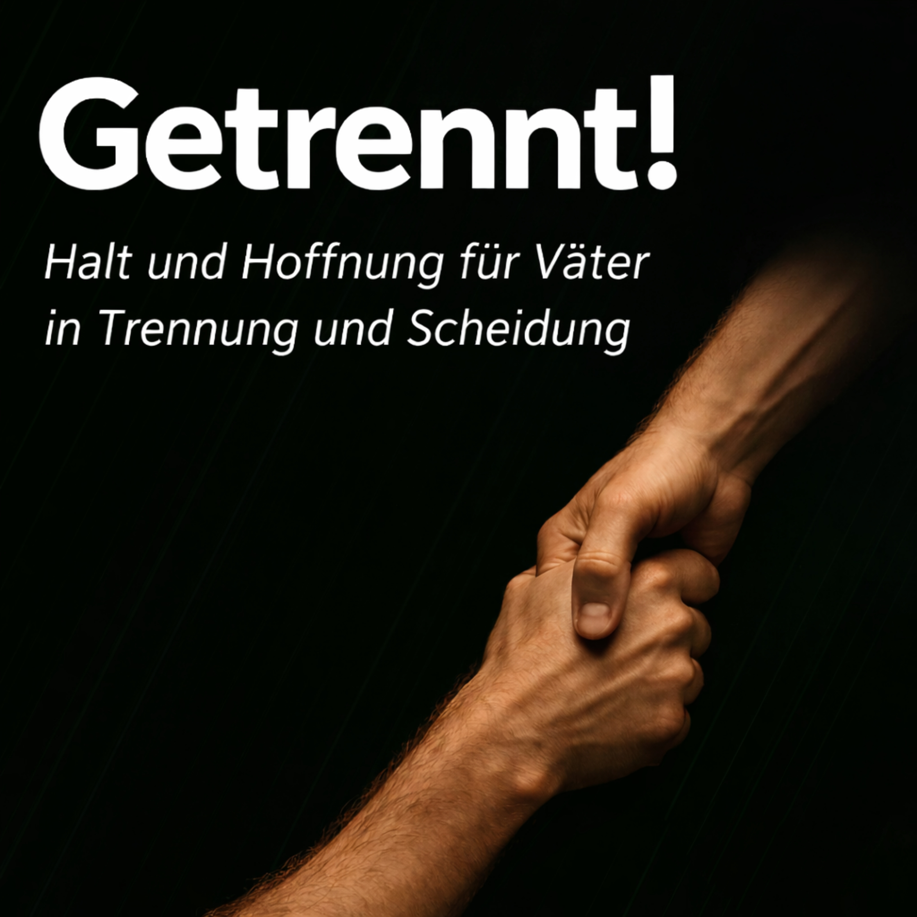 Getrennt! - Trennung, Scheidung, Beziehungskrise als Vater / Mann meistern