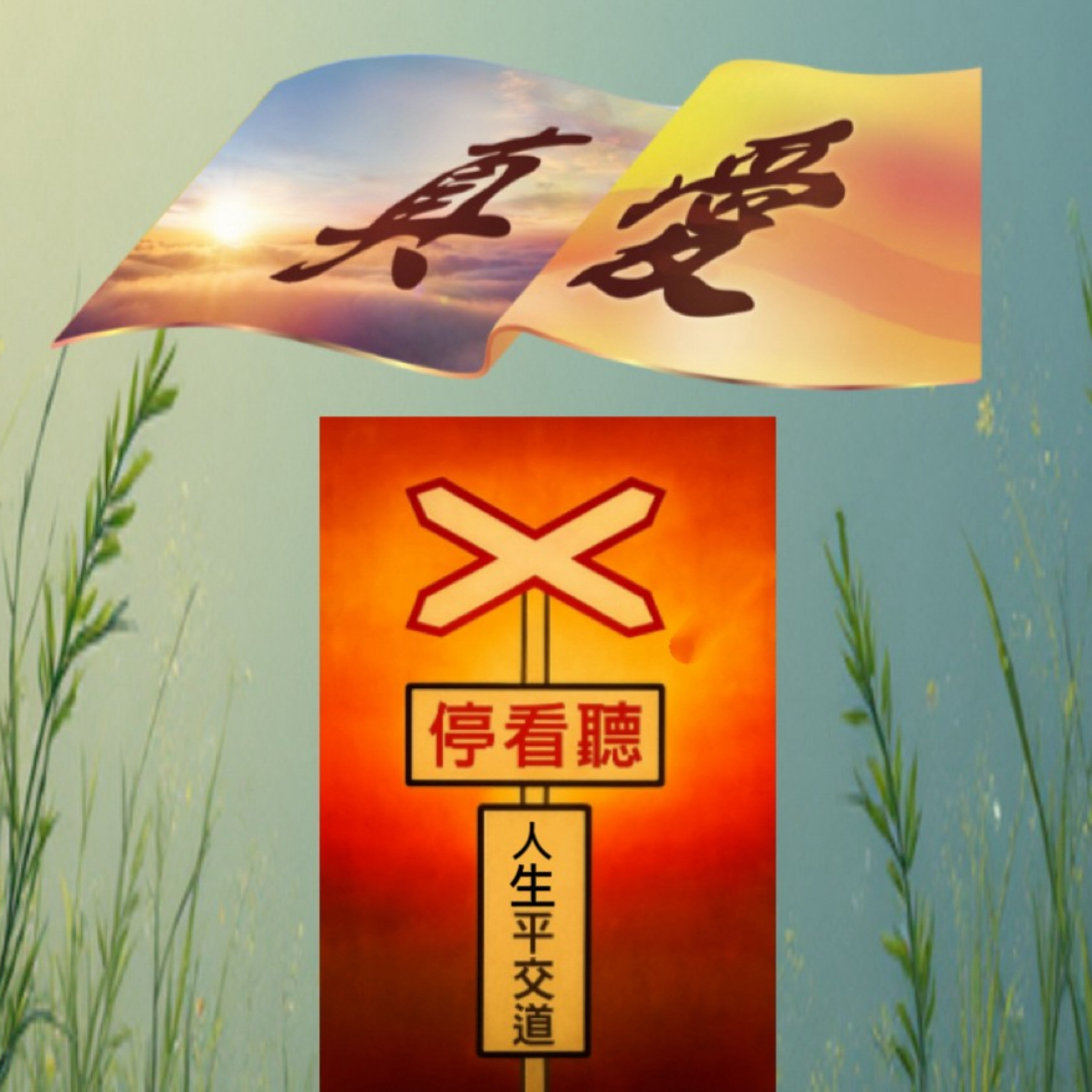 真愛停看聽