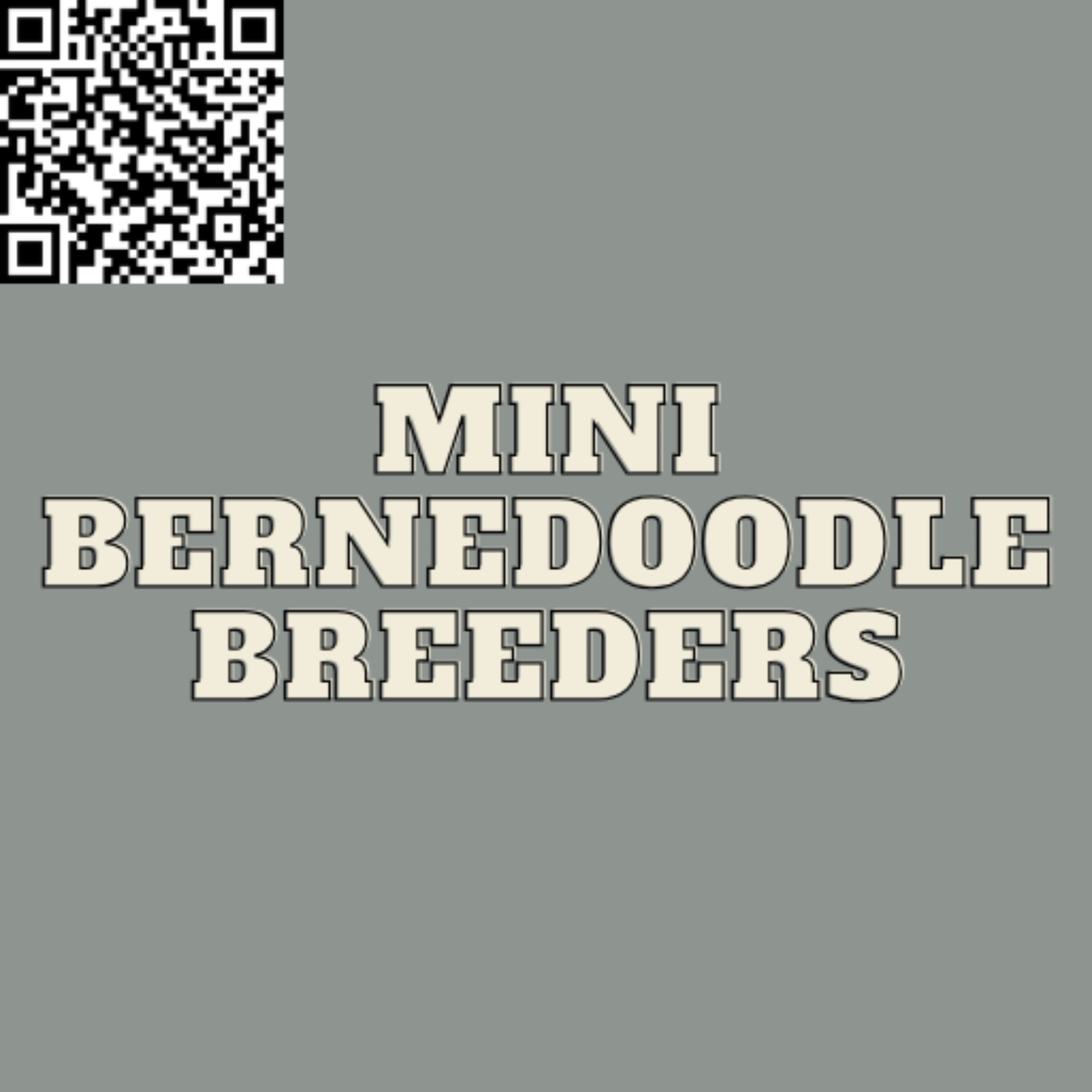 Mini Bernedoodle Breeders Guide