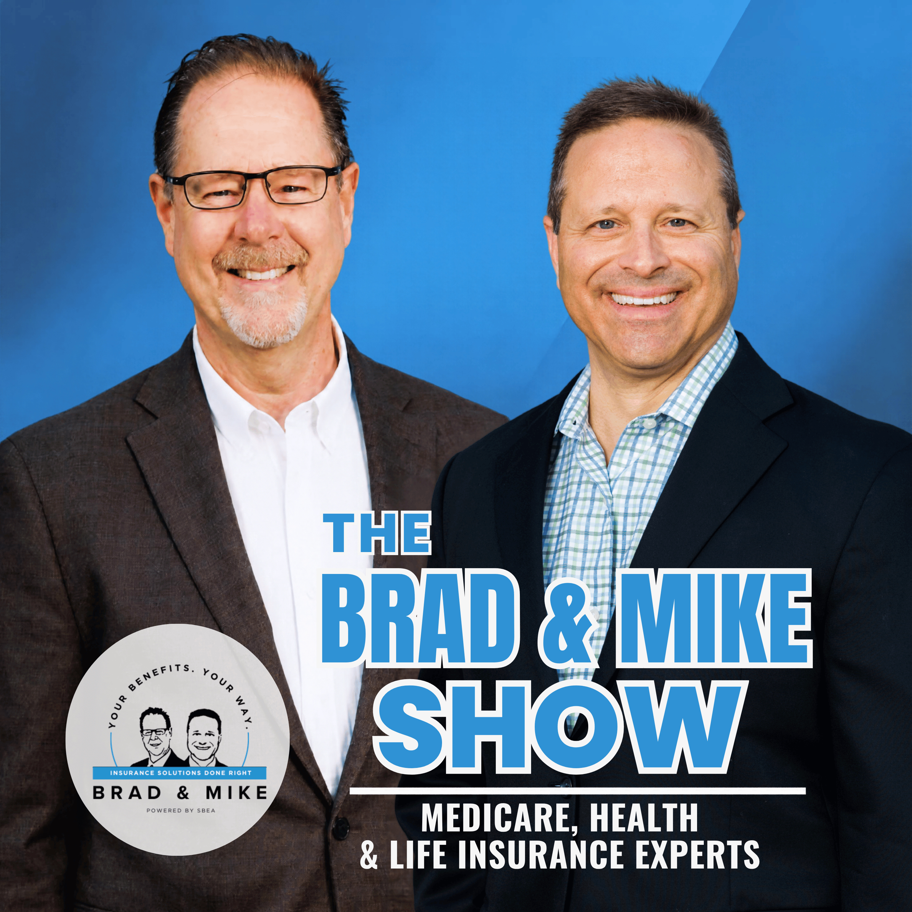 The Brad and Mike Show