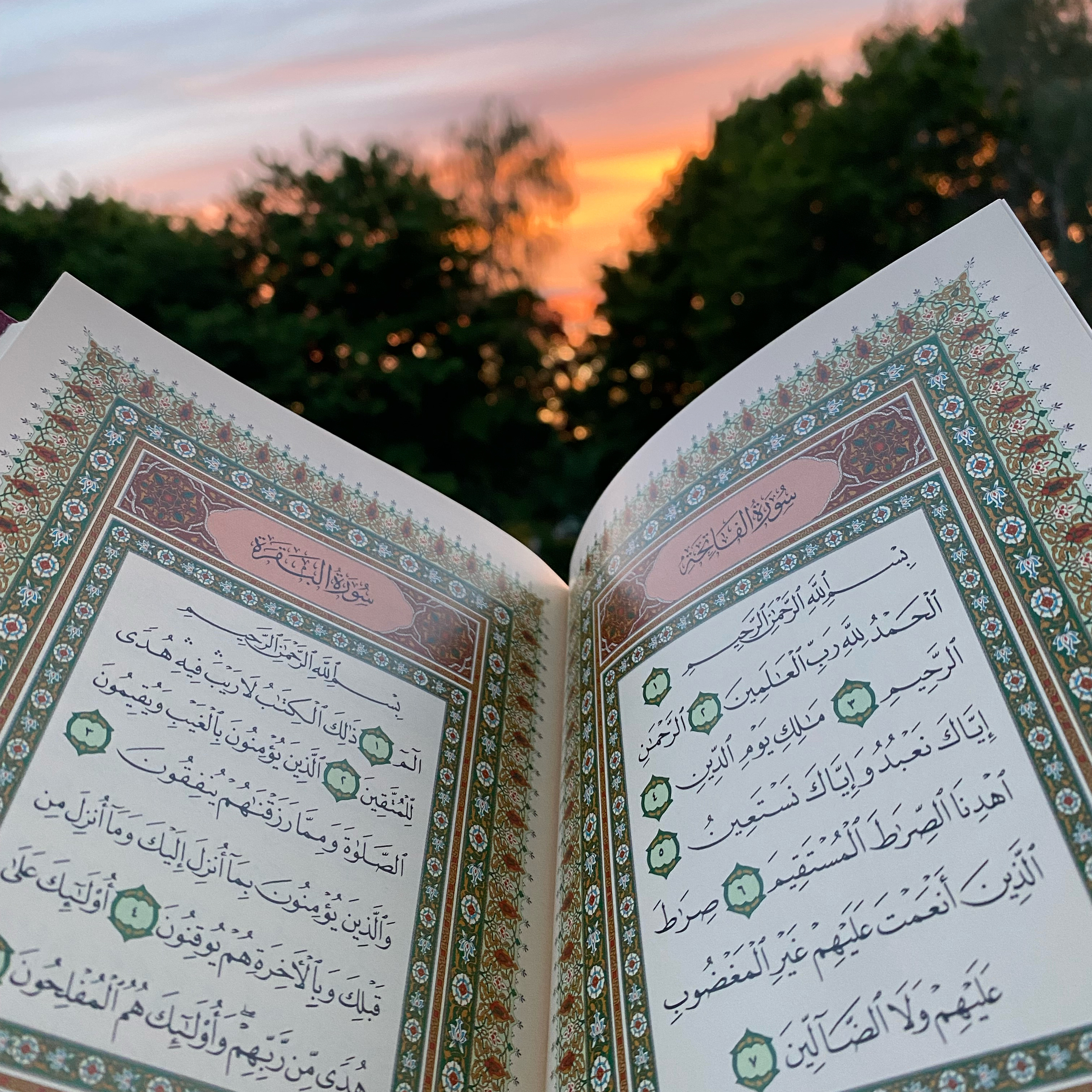 Ibrahim Al Akhdar -إبراهيم الأخضر