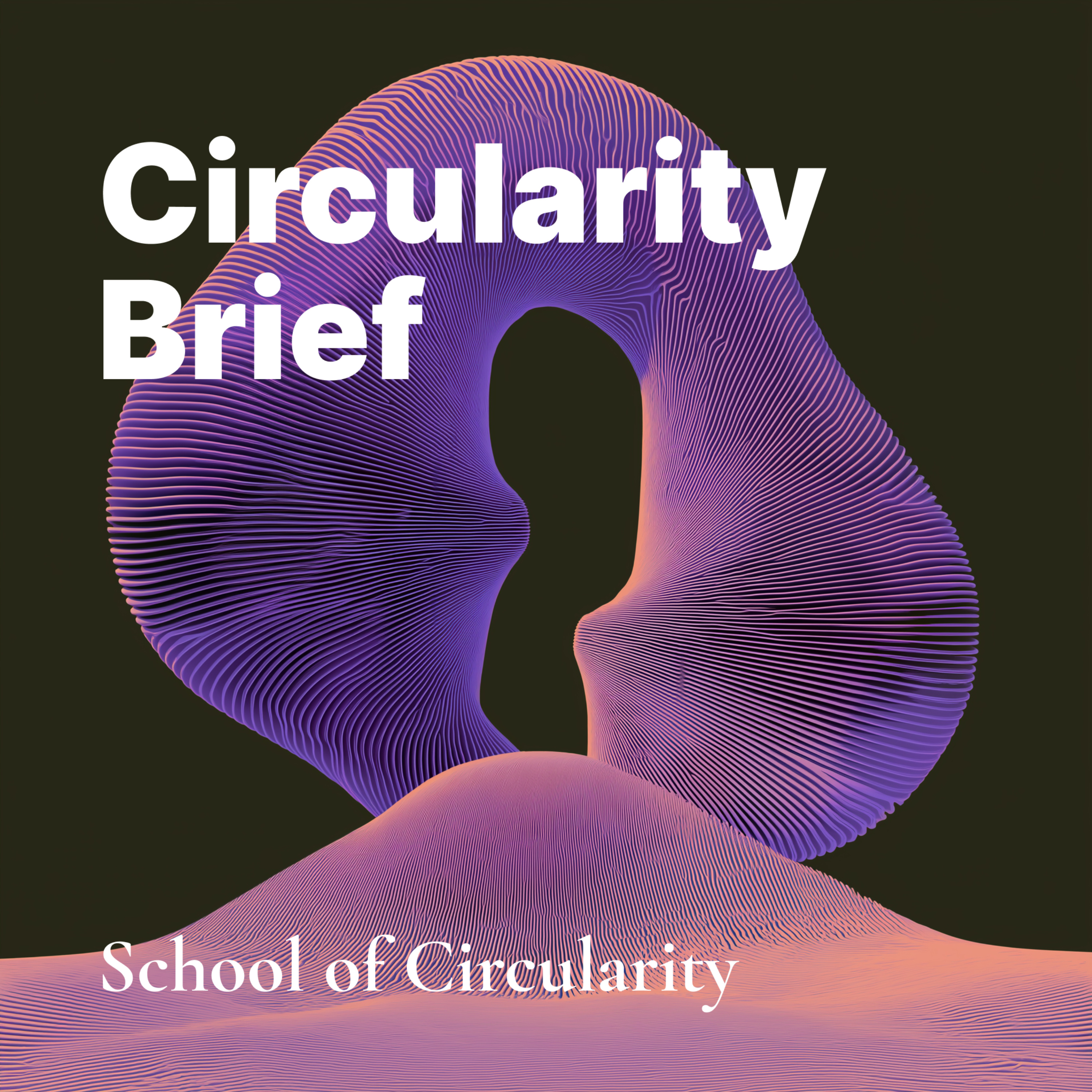 Circularity Brief – Insights from the Circular Economy podcast artwork