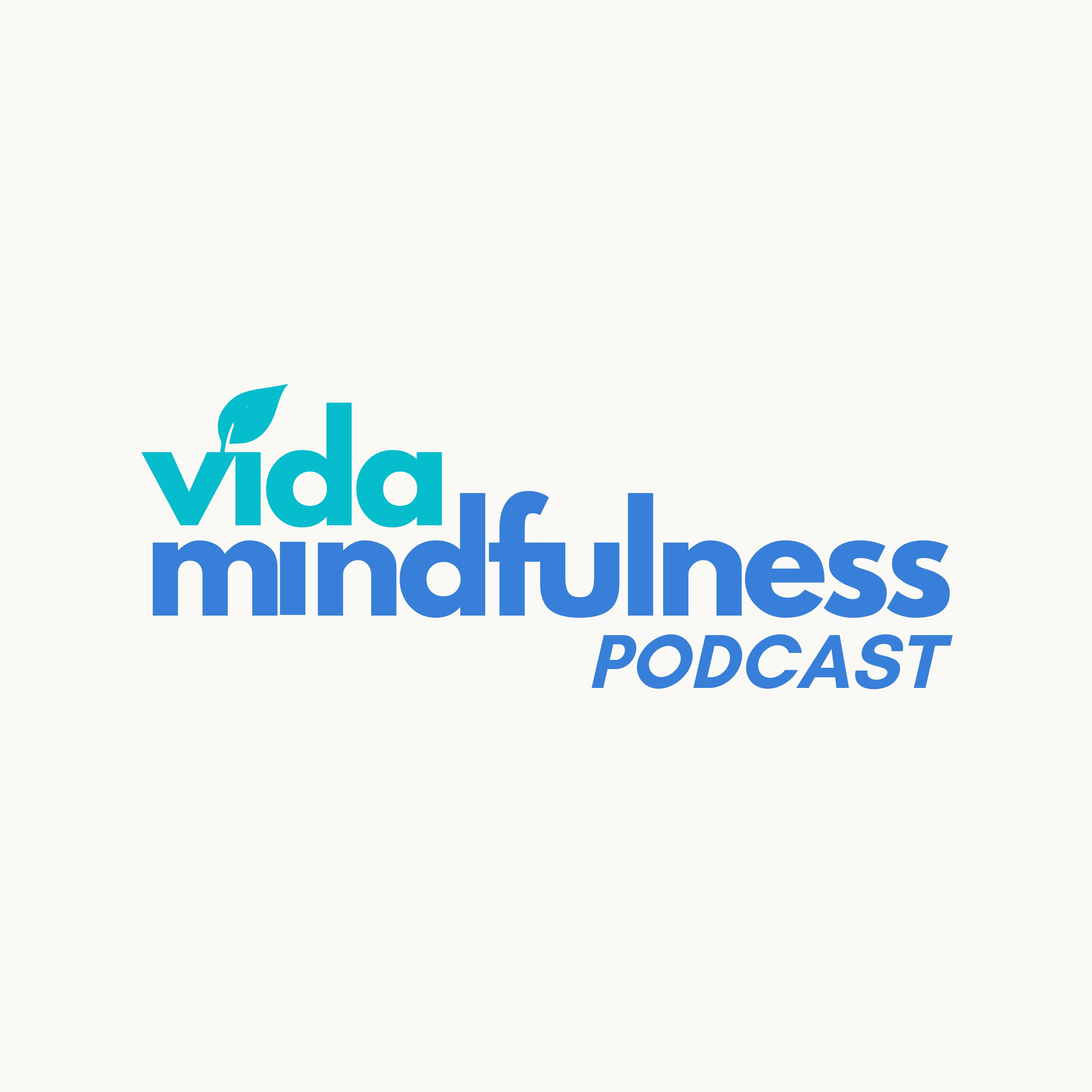 Vidamindfulness Podcast podcast artwork