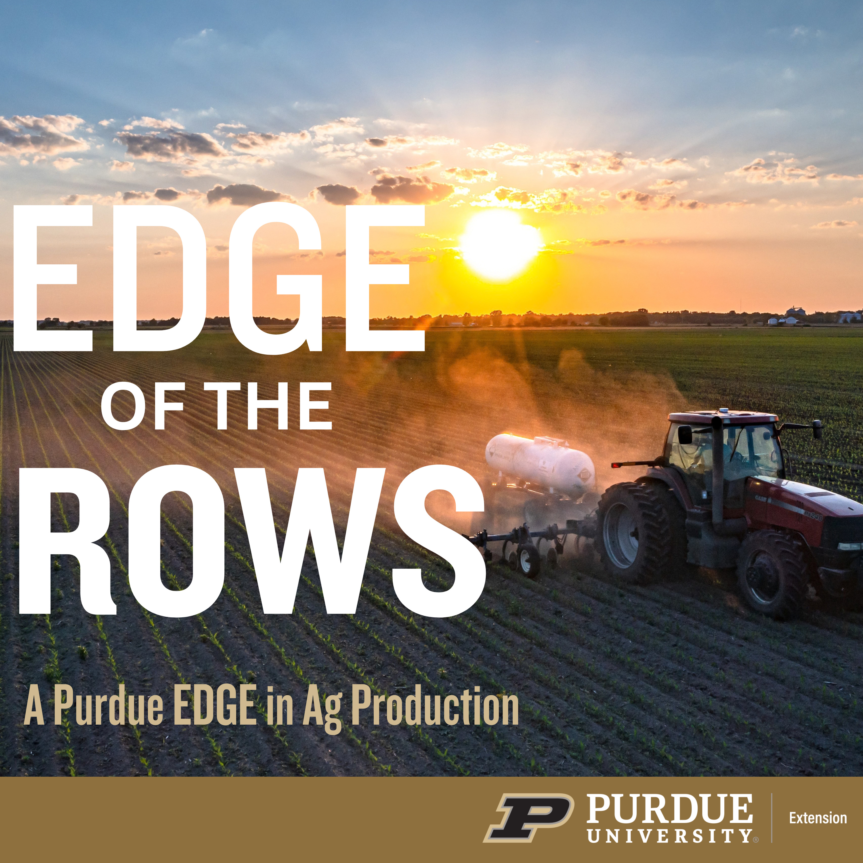 Edge of the Rows