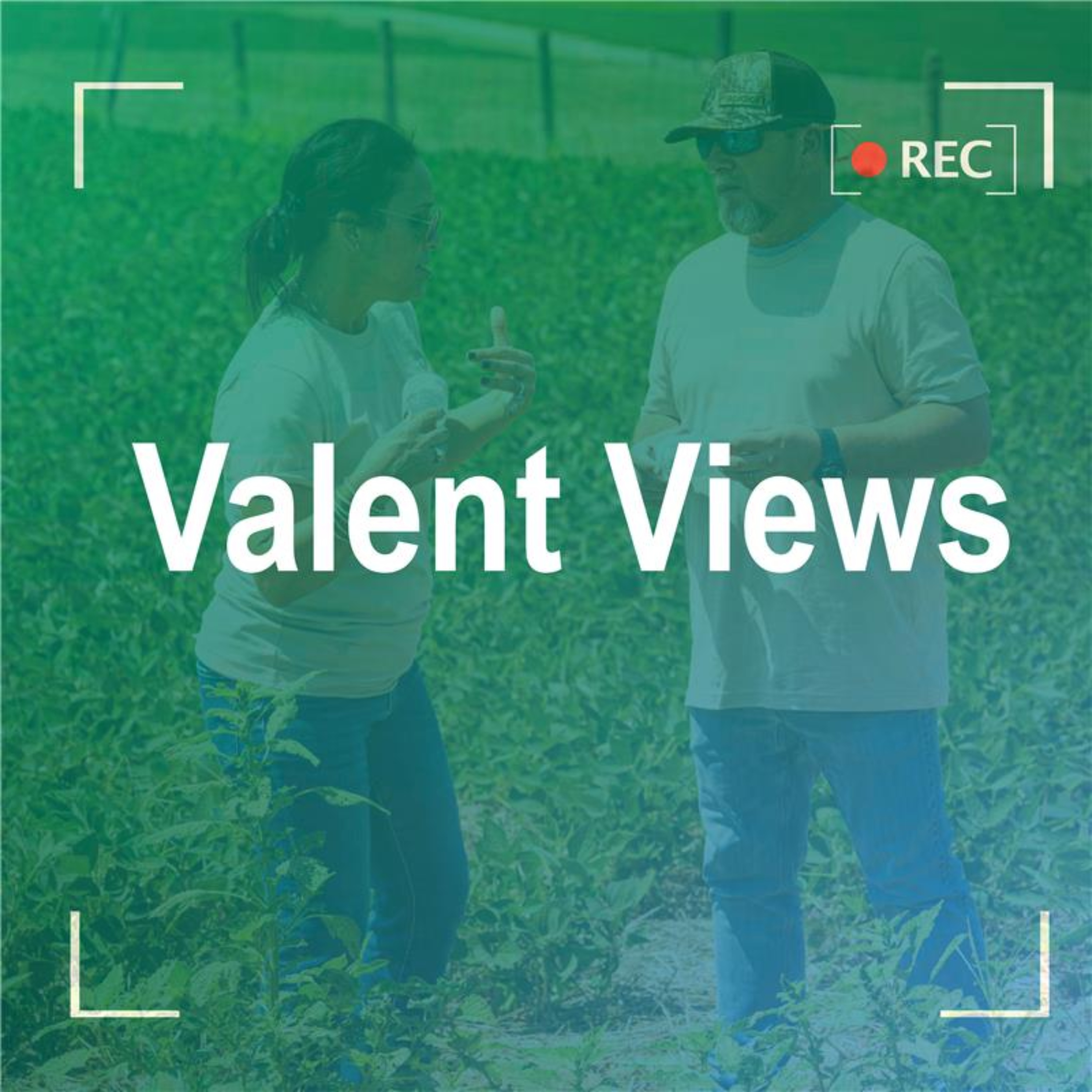 Valent Views by Valent U.S.A.