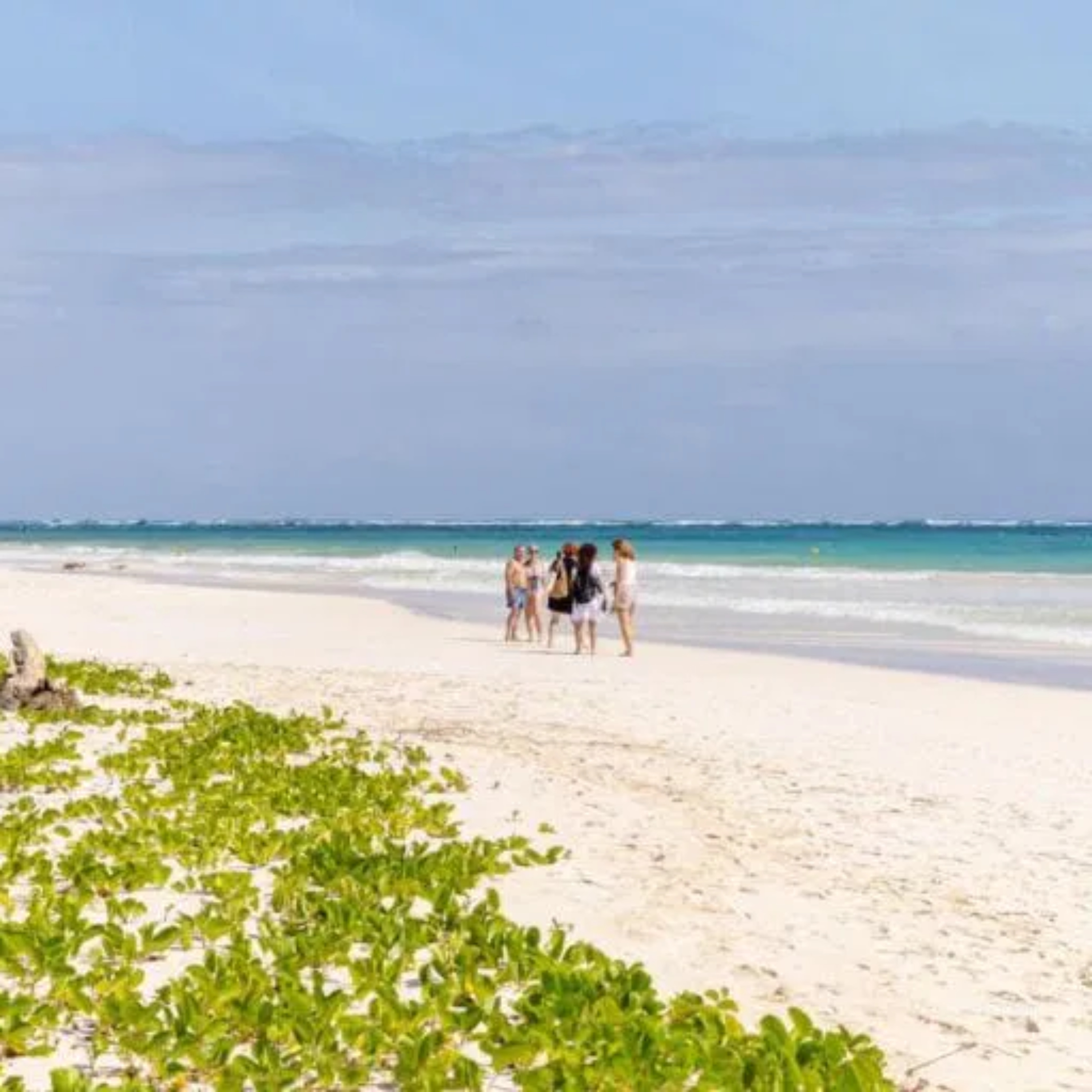 图卢姆开放免费海滩的危机与挑战 cover art