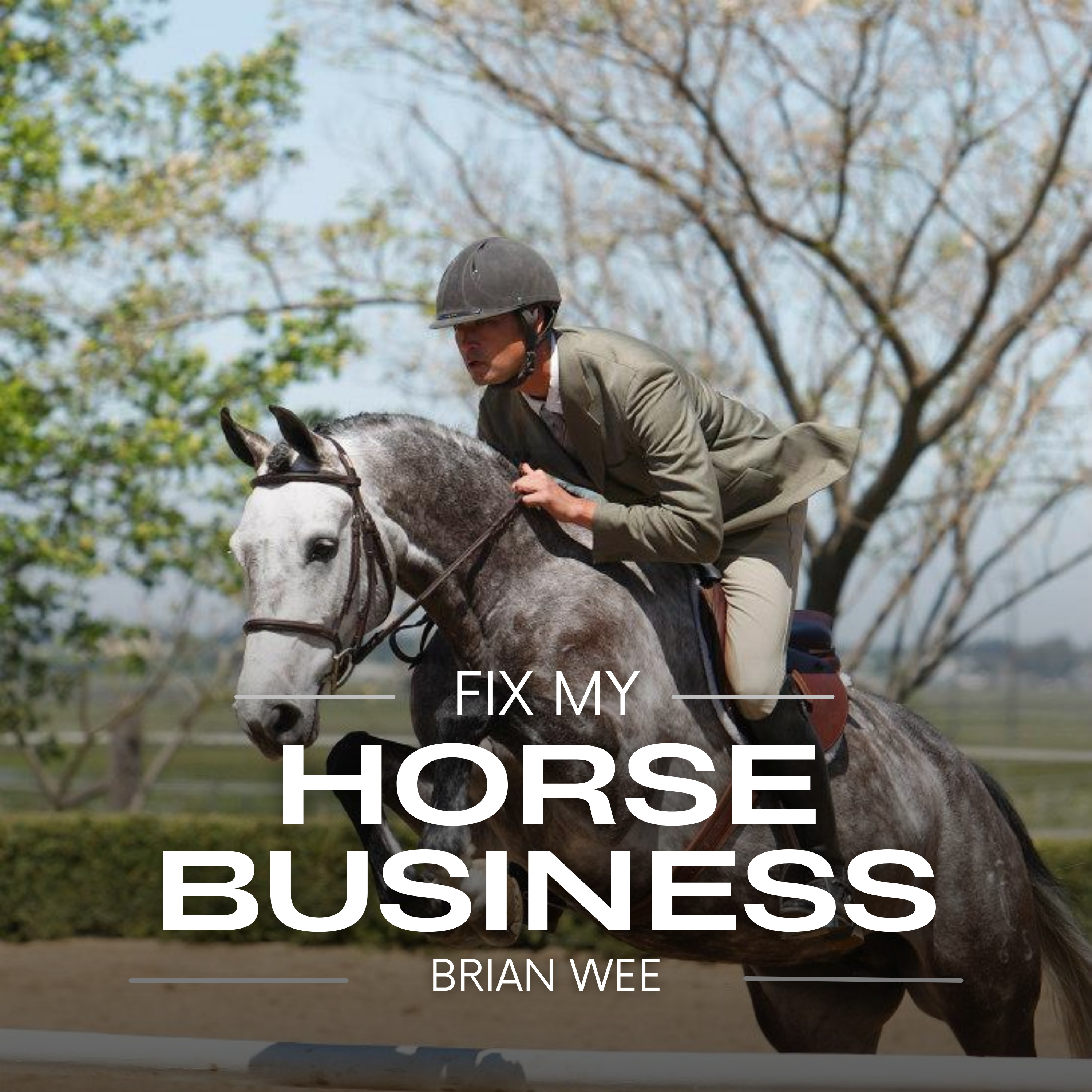 Fix My Horse Business podcast artwork