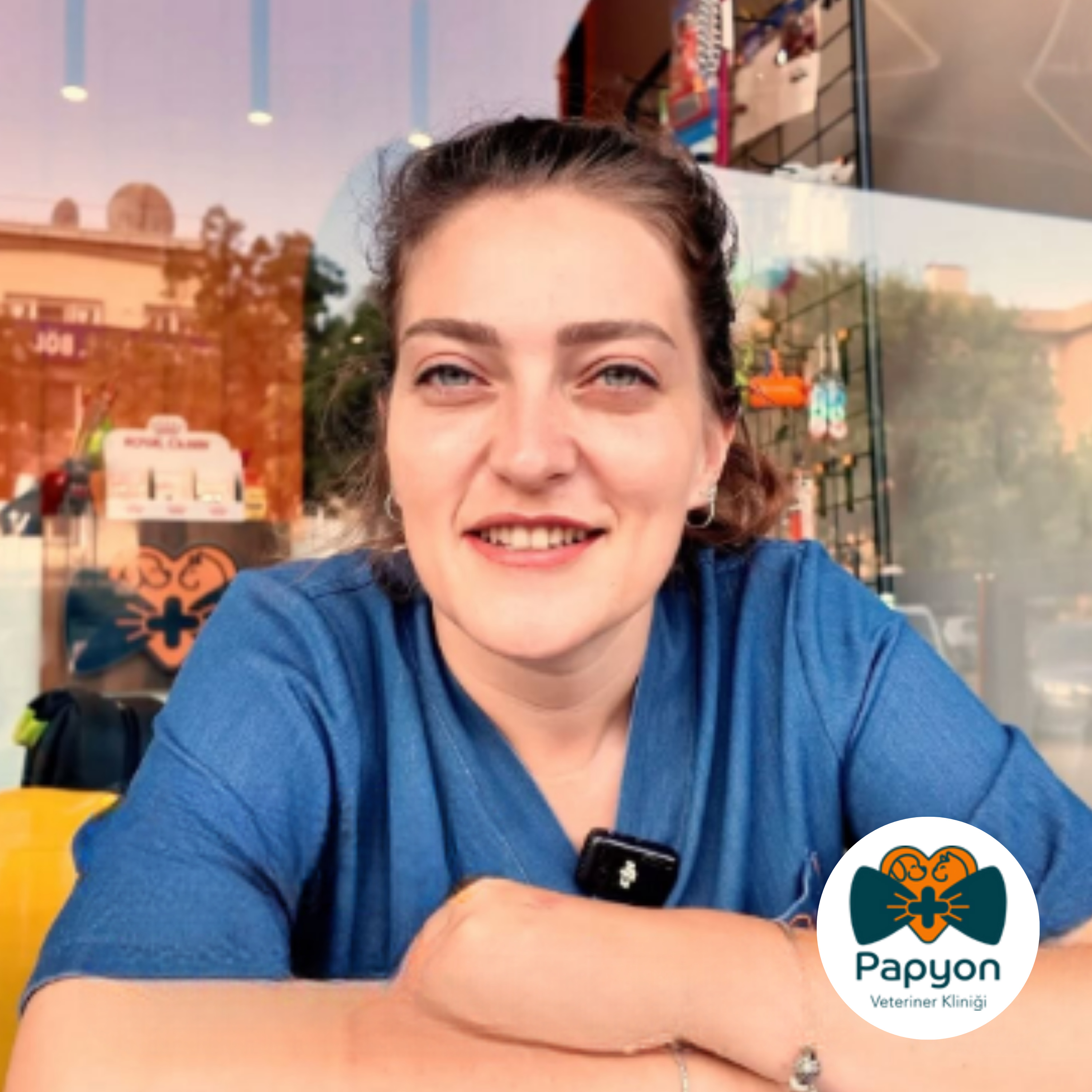 Veteriner Hekimin Gözünden cover art