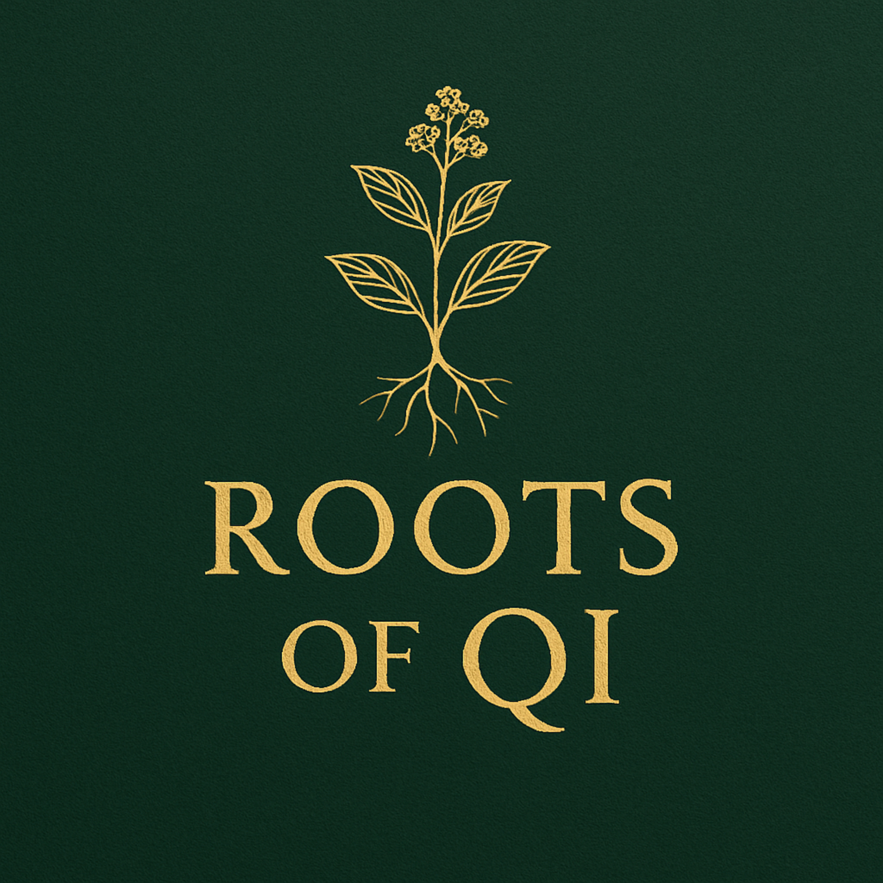 Roots of Qi – מסע אל שורשי הריפוי הסיני podcast artwork