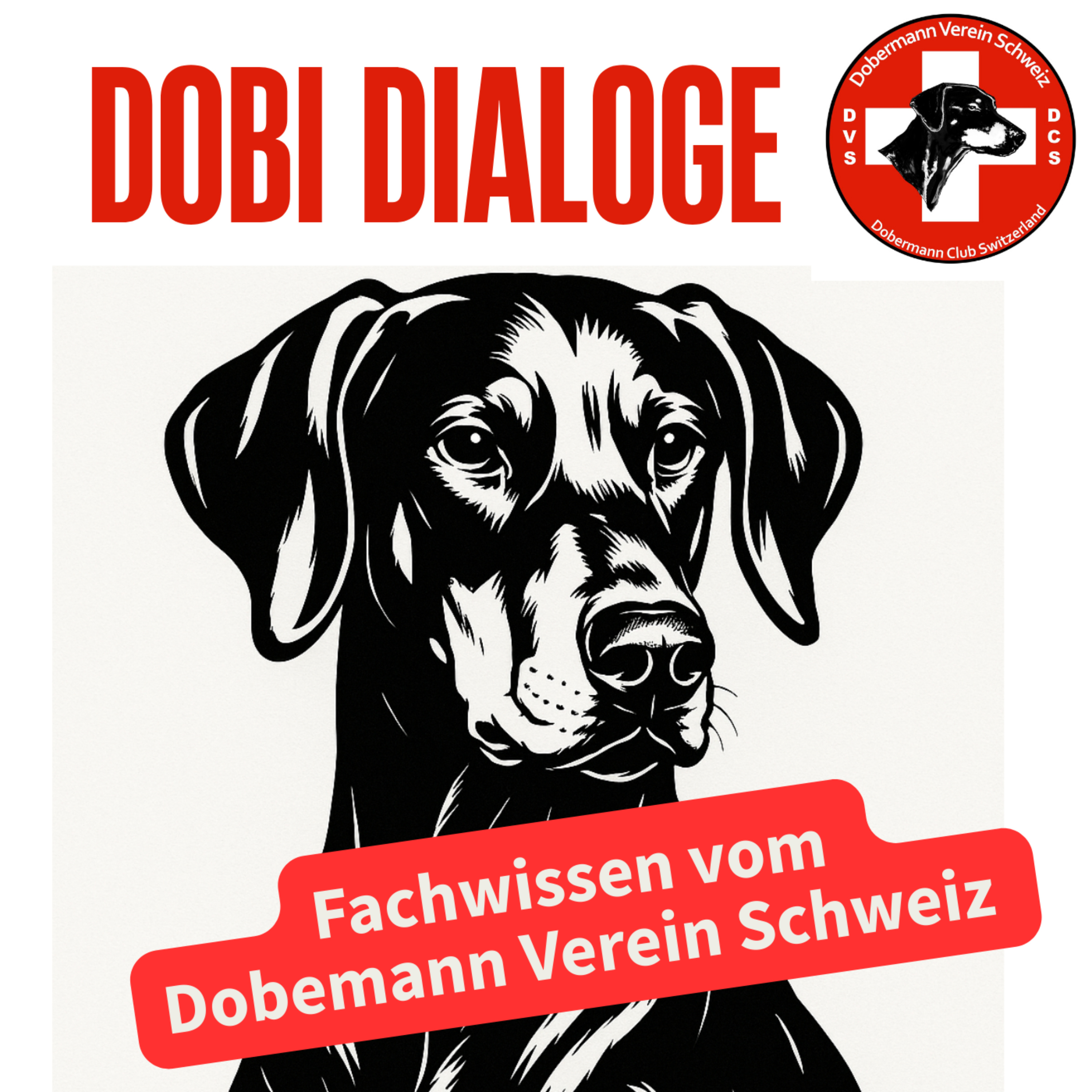 Dobi Dialoge: Fachwissen vom Dobermann Schweiz (DVS) podcast artwork