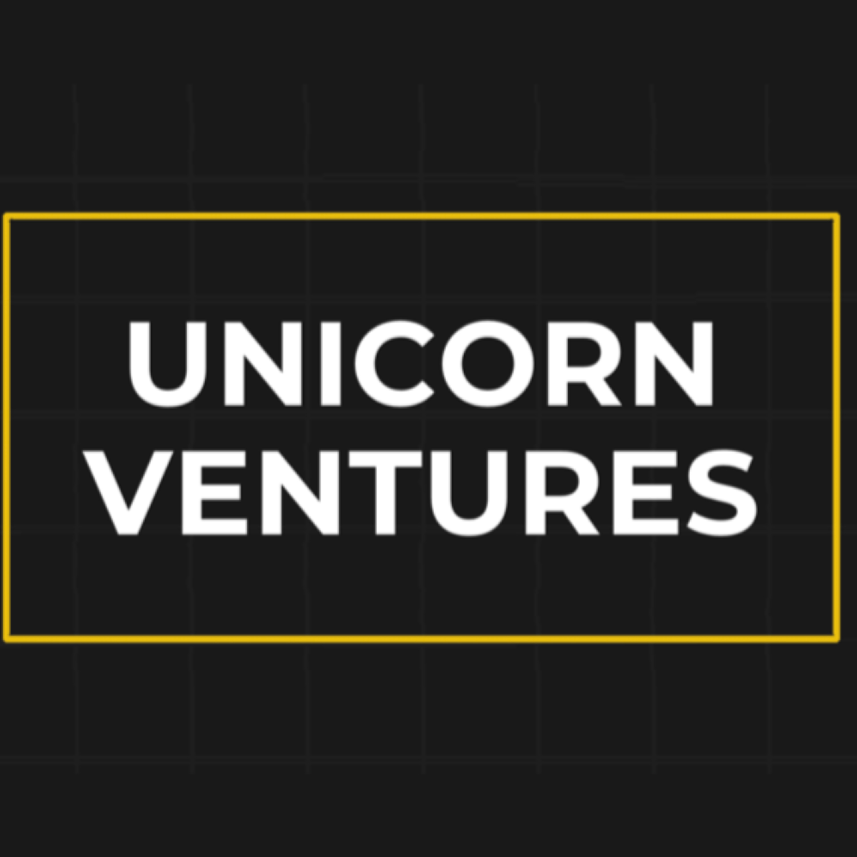 Unicorn Ventures Podcast with Sean \'The AI Guy\'